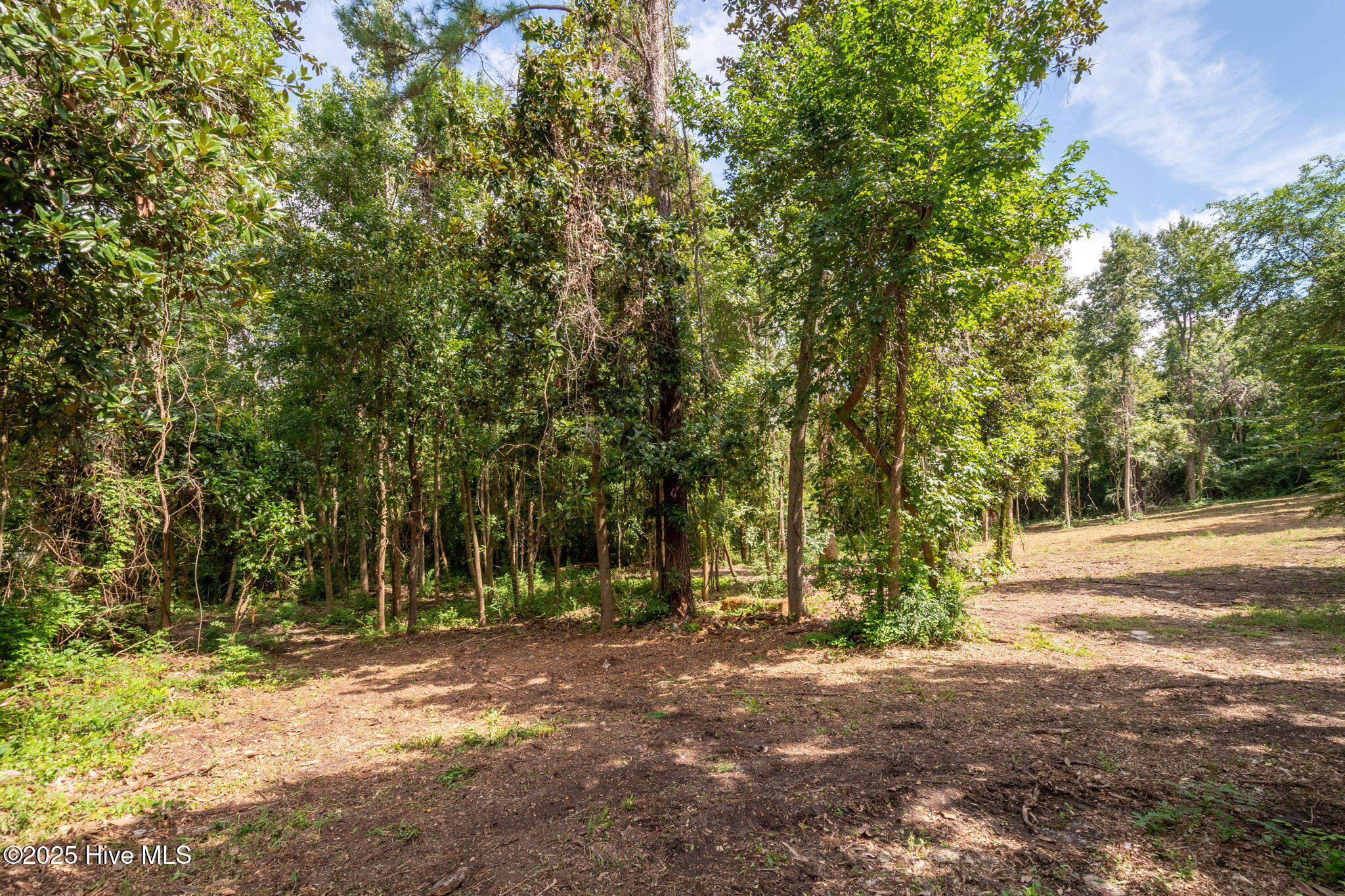 100524642 | Photo 30