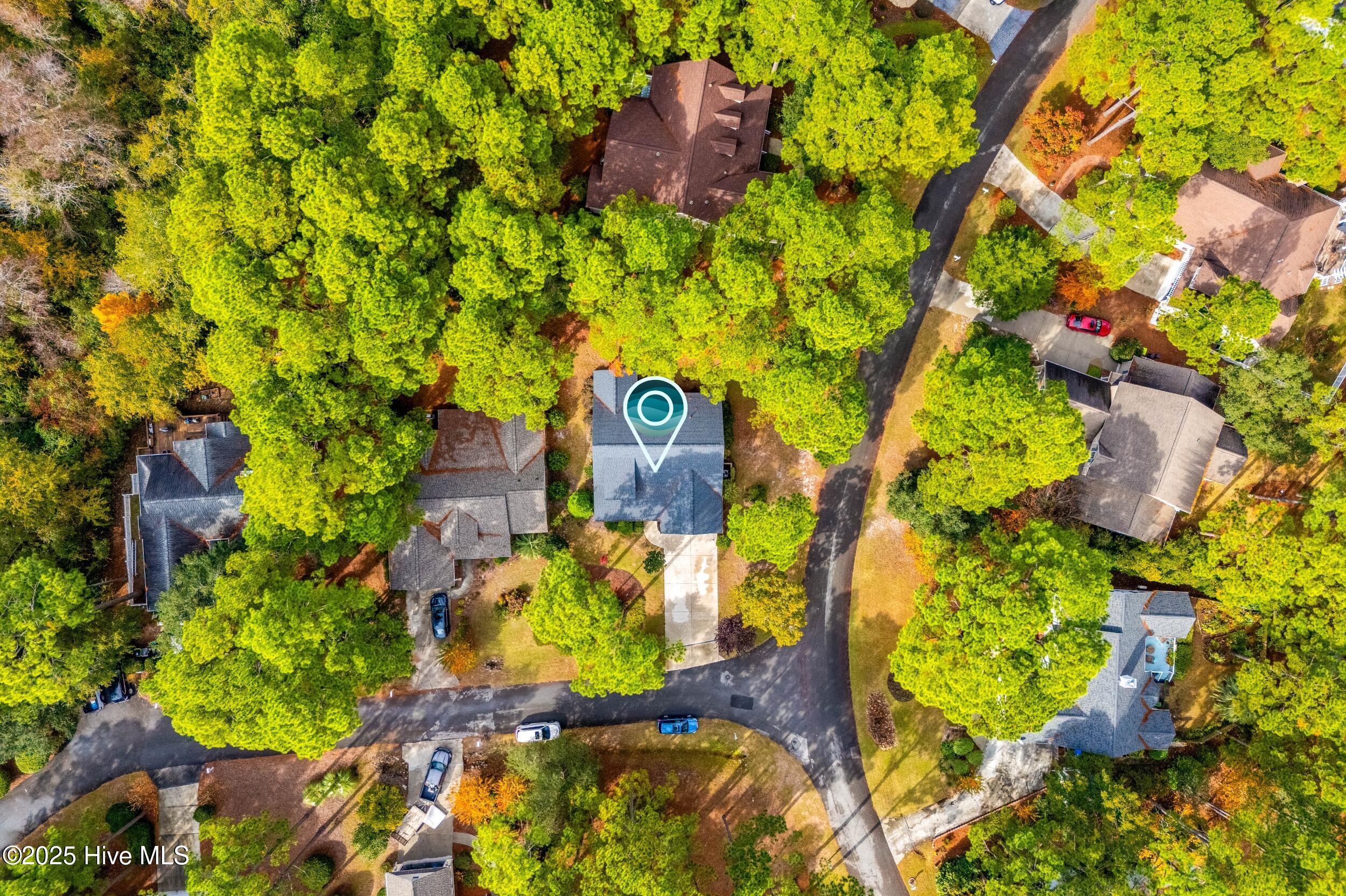 100540432 | Photo 52