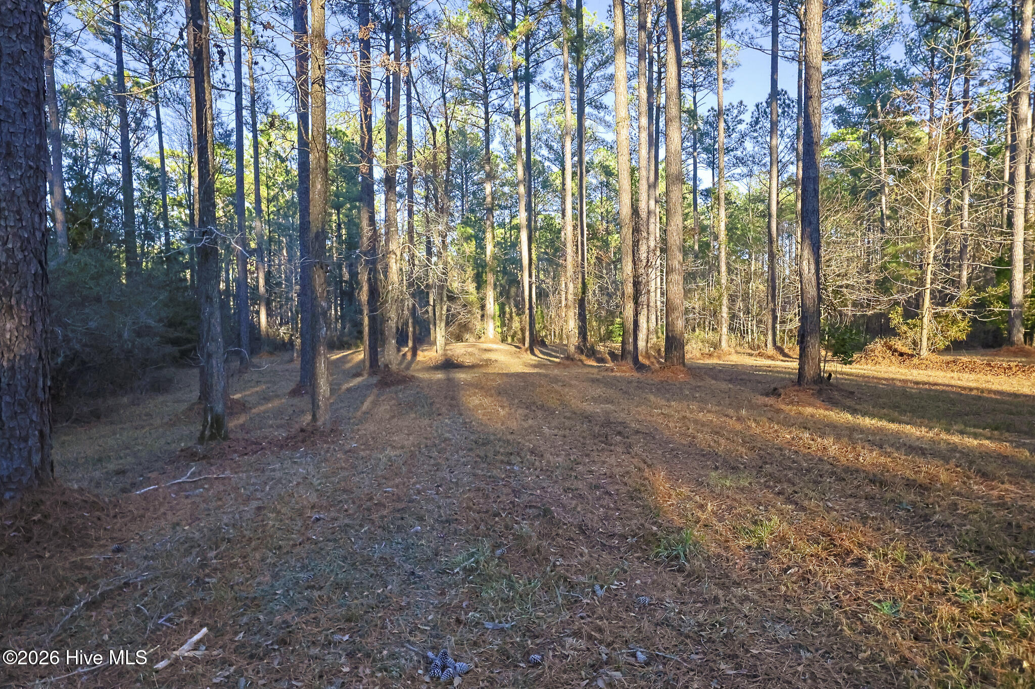 5) 68190-69a8680236949