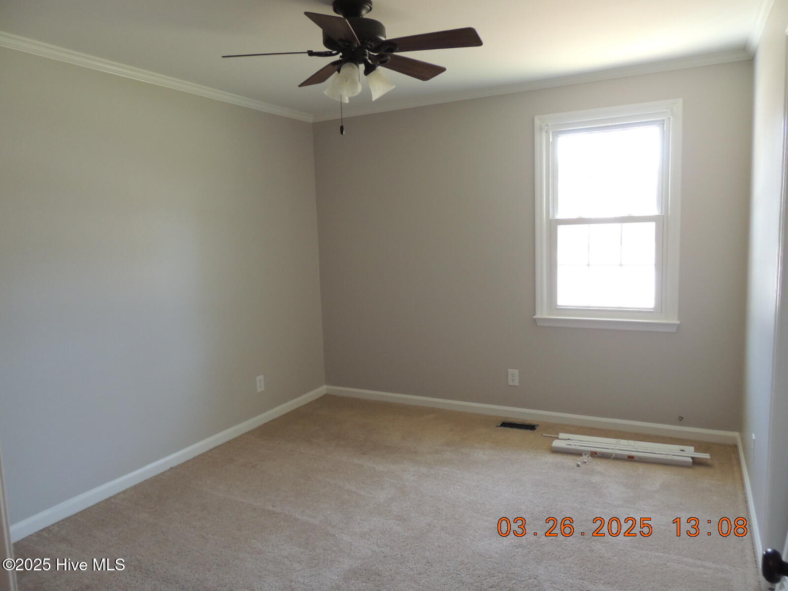 100565654 | Photo 11