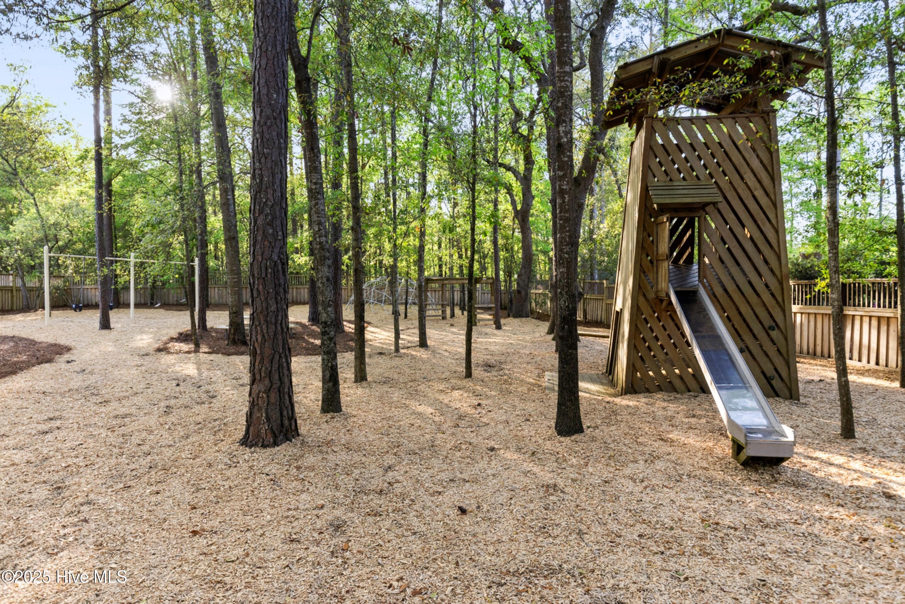 100542273 | Photo 89