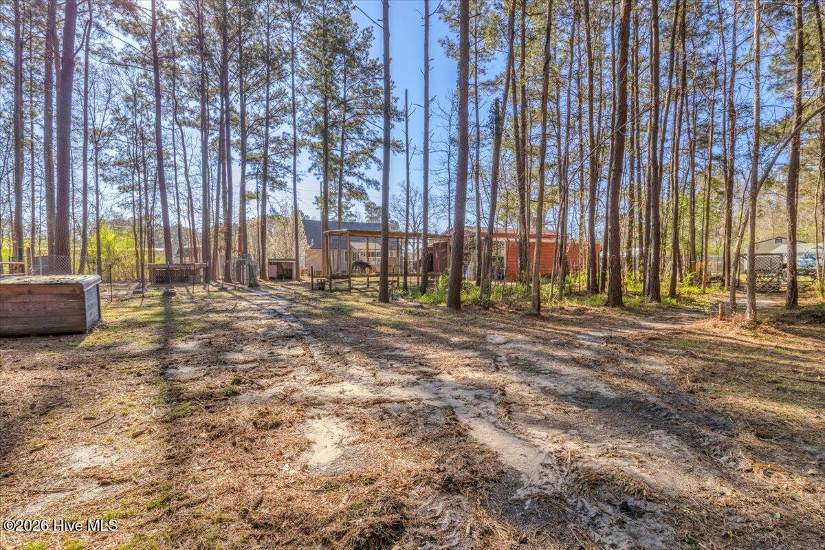 100561788 | Photo 84