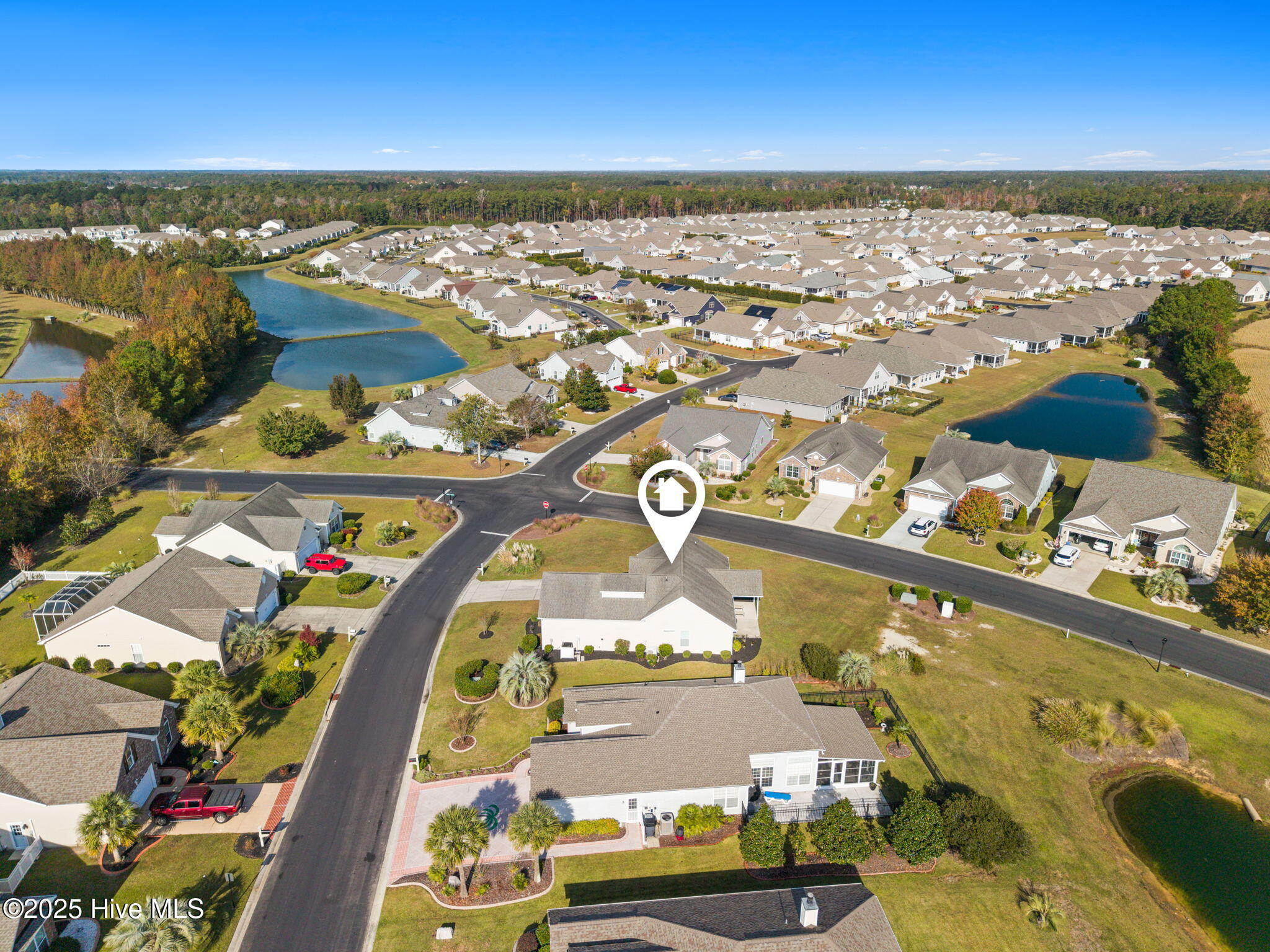 100540486 | Photo 49