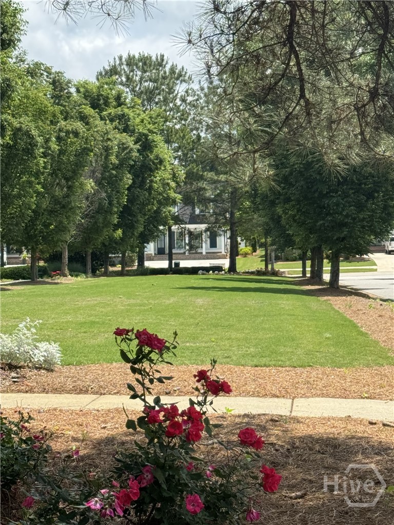 Mature trees and thoughtfully landscaped common areas enhance the neighborhood charm