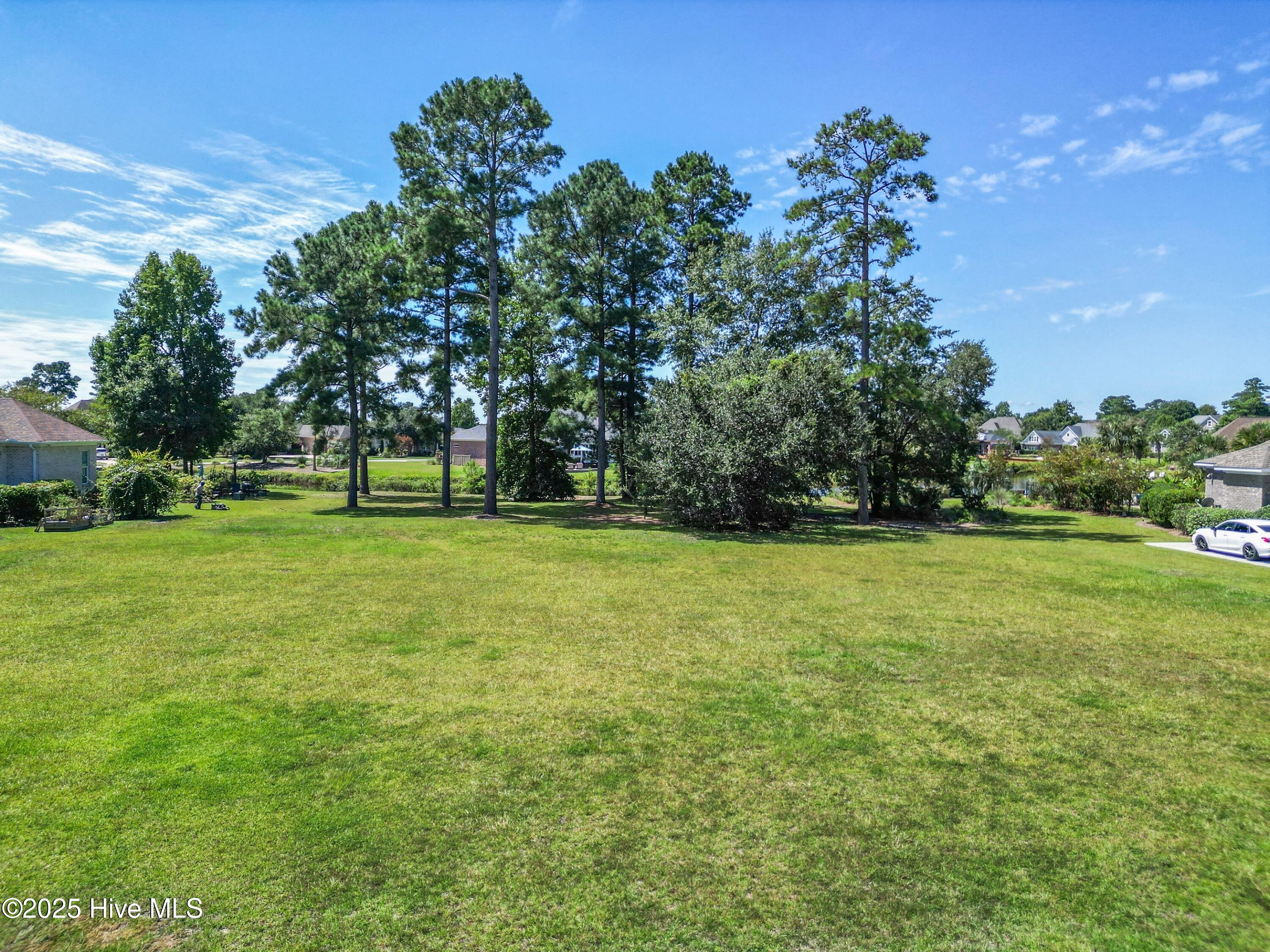 100534642 | Photo 18