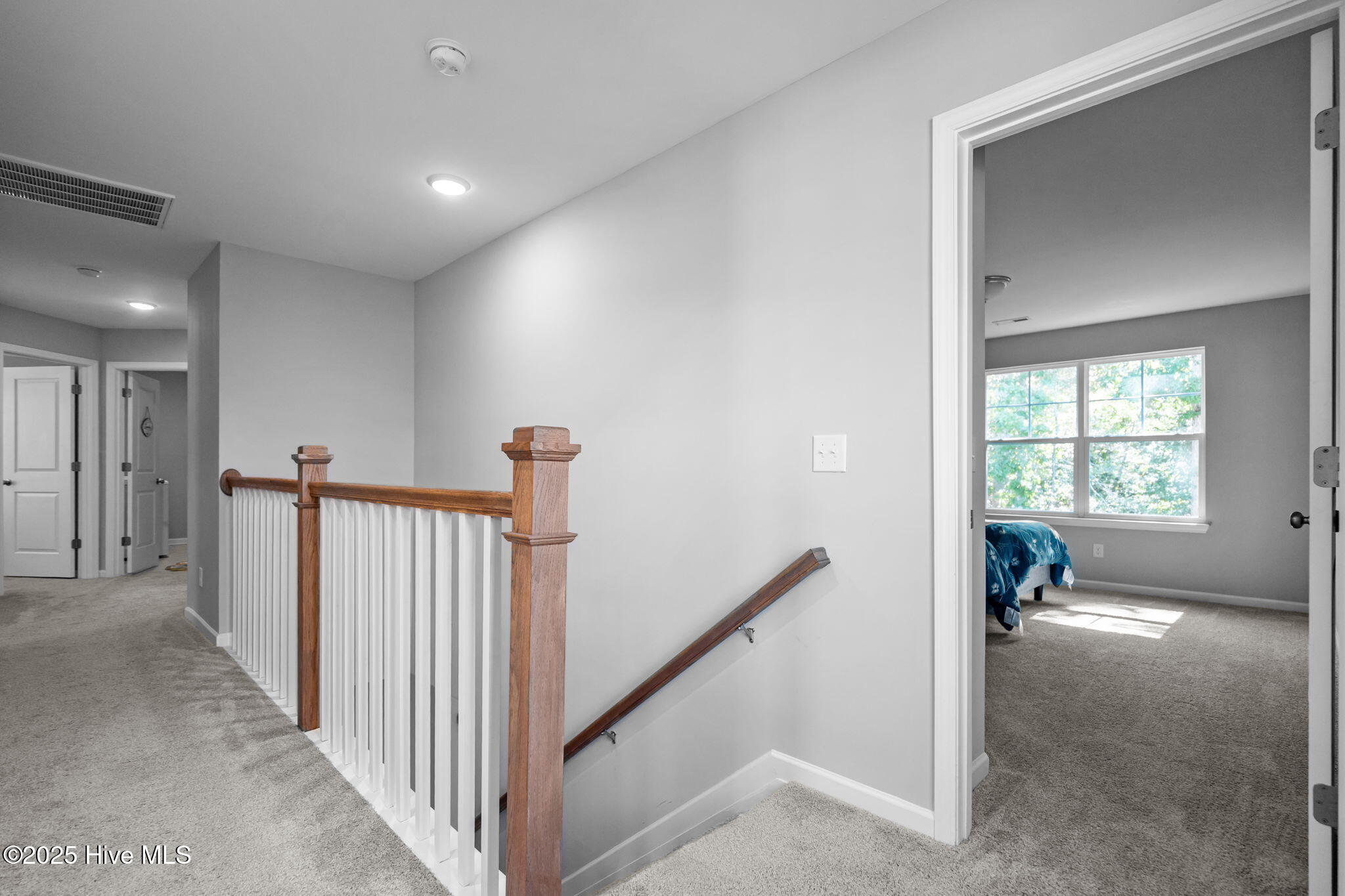 100528737 | Photo 27