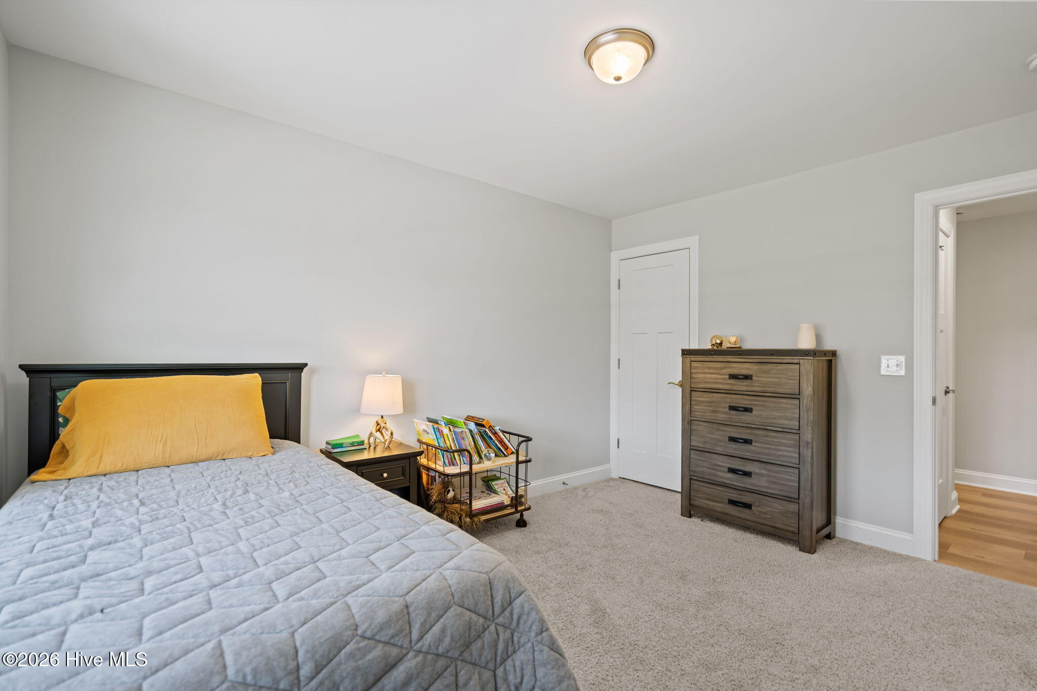 100562064 | Photo 35