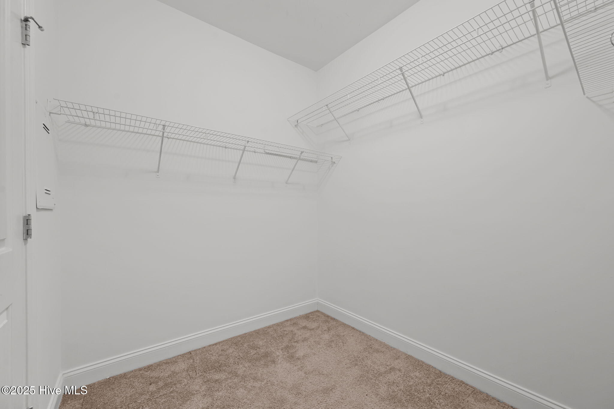 100506684 | Photo 25