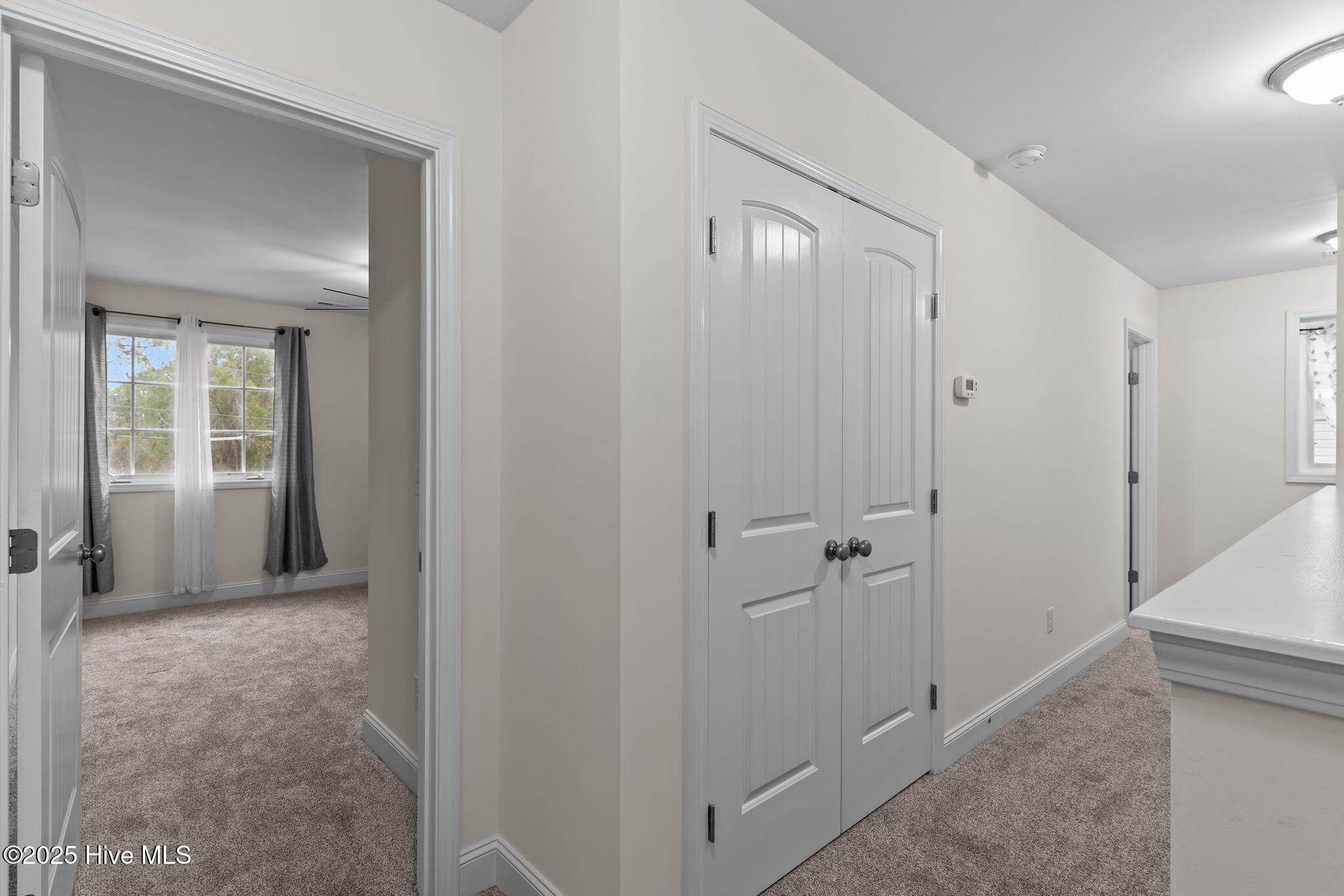 100537079 | Photo 35