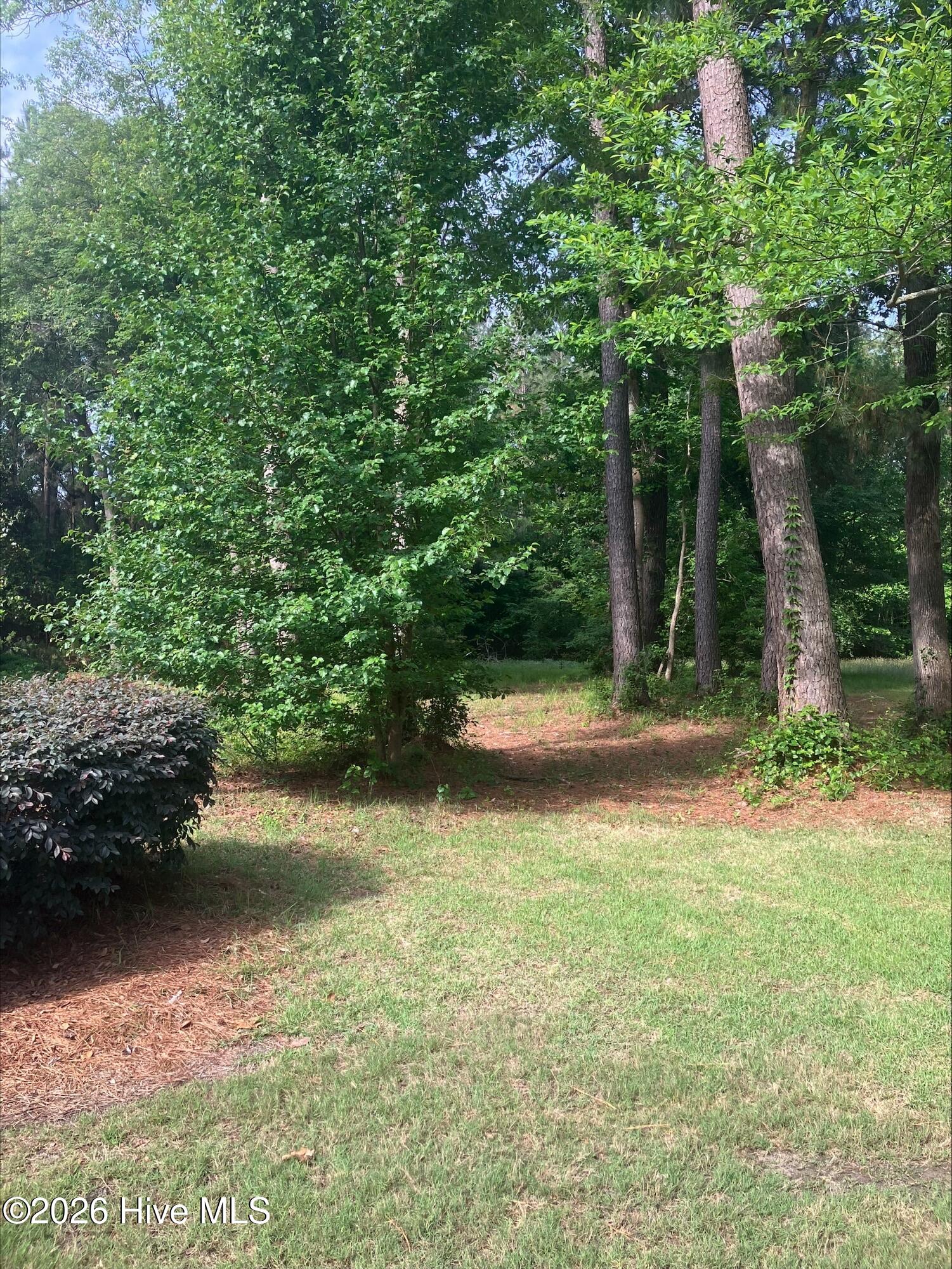 155 416 Southern Magnolia Lane image