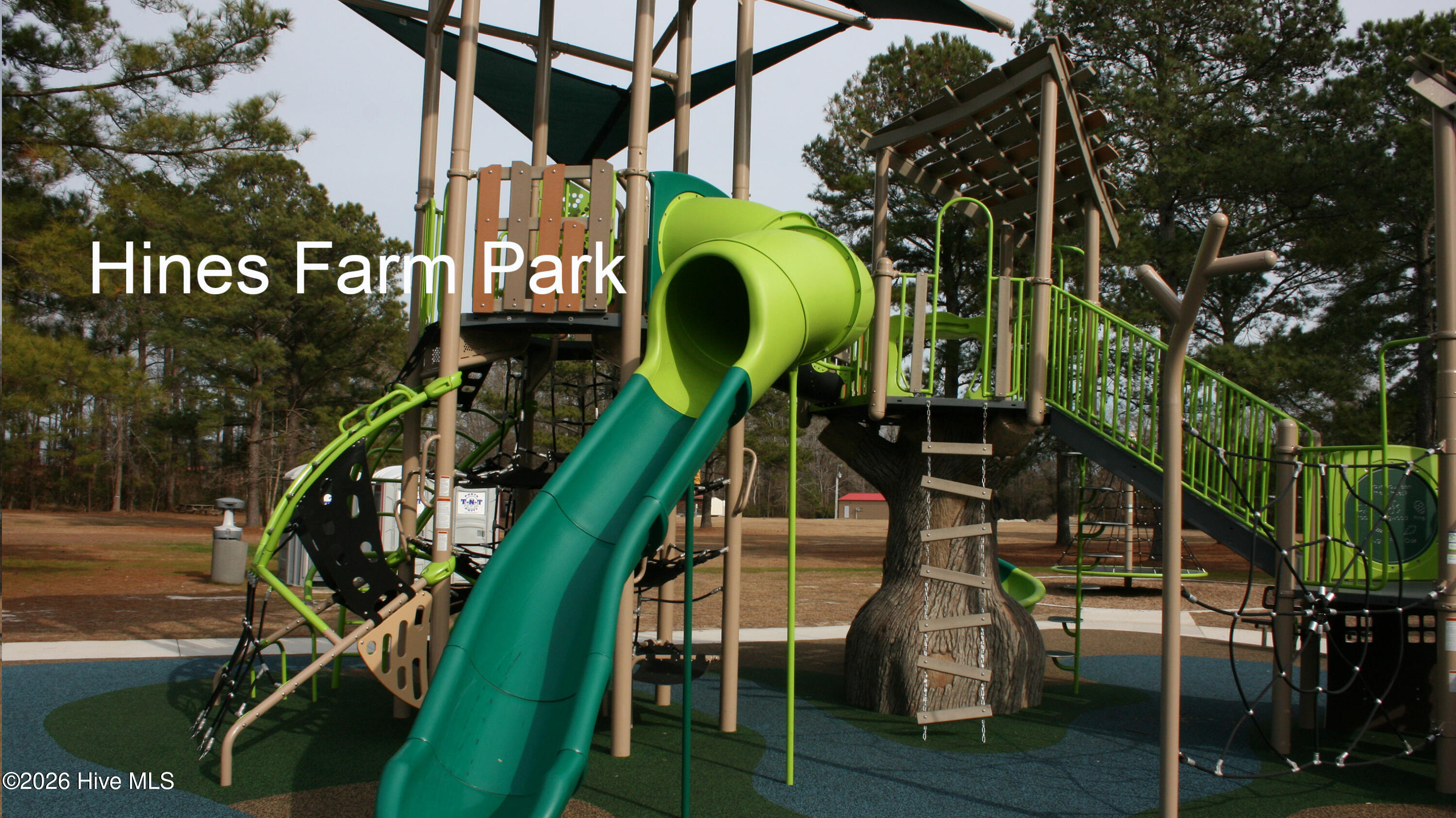 100549016 | Photo 12