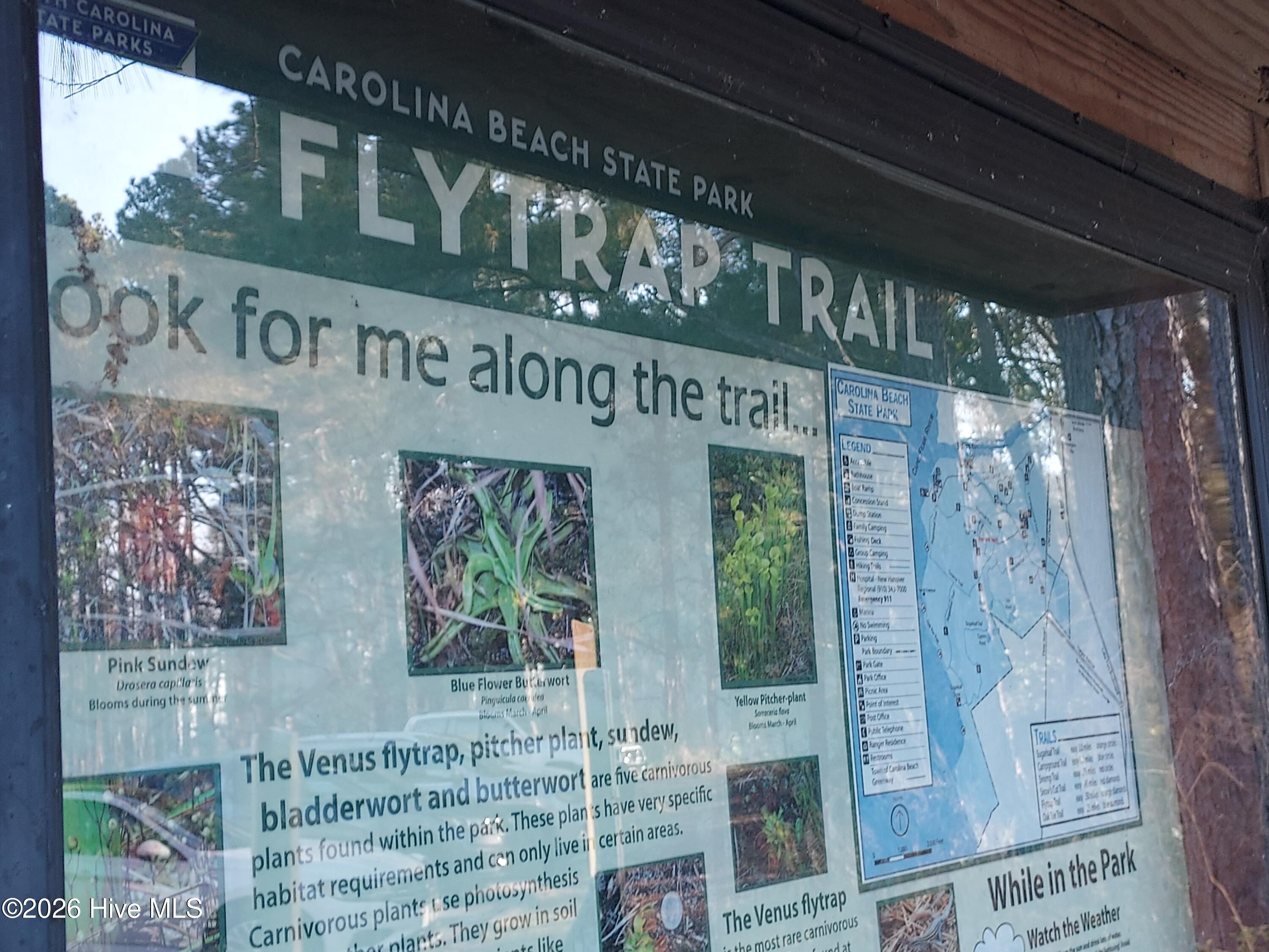 100561517 | Photo 26