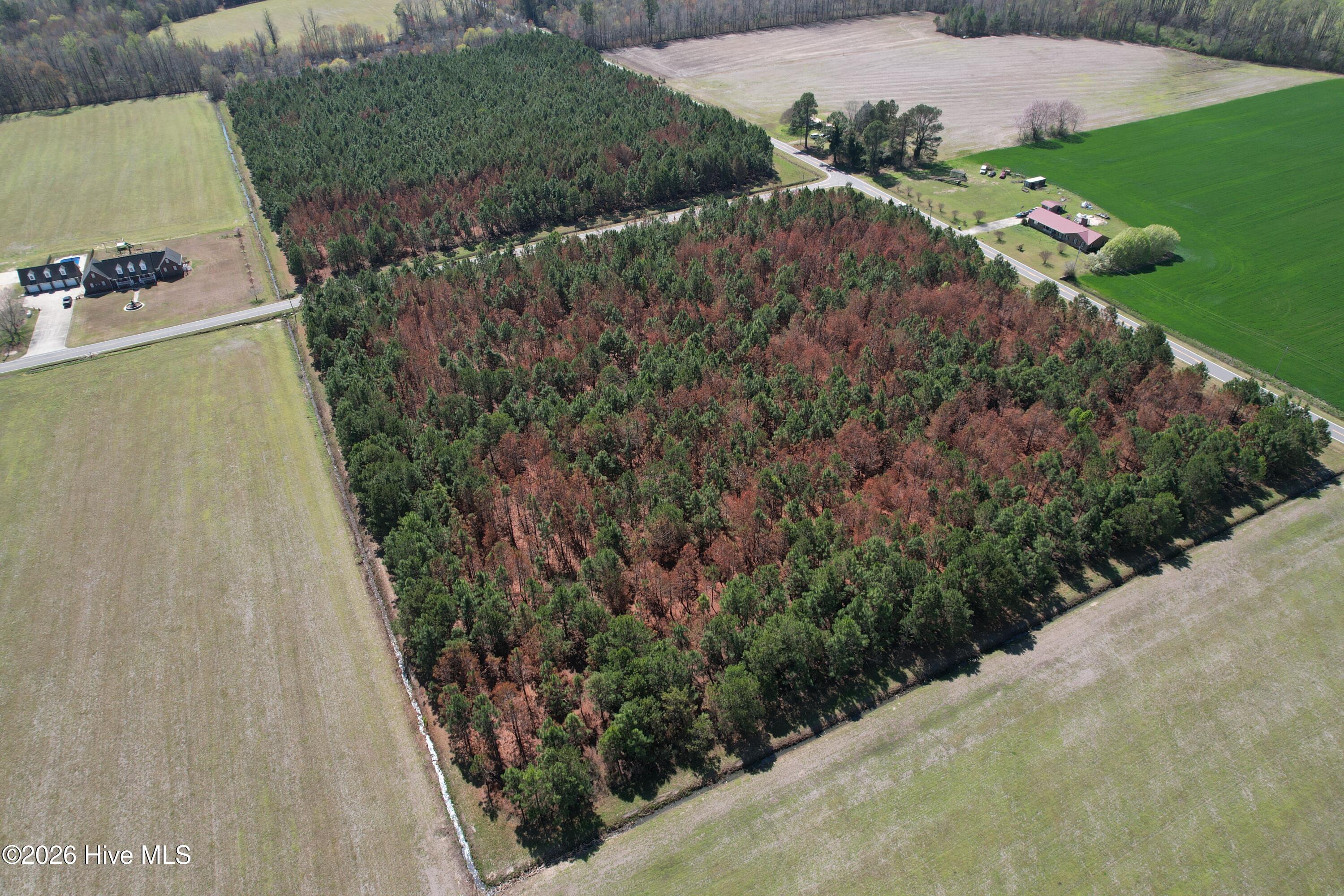 100560557 | Photo 10