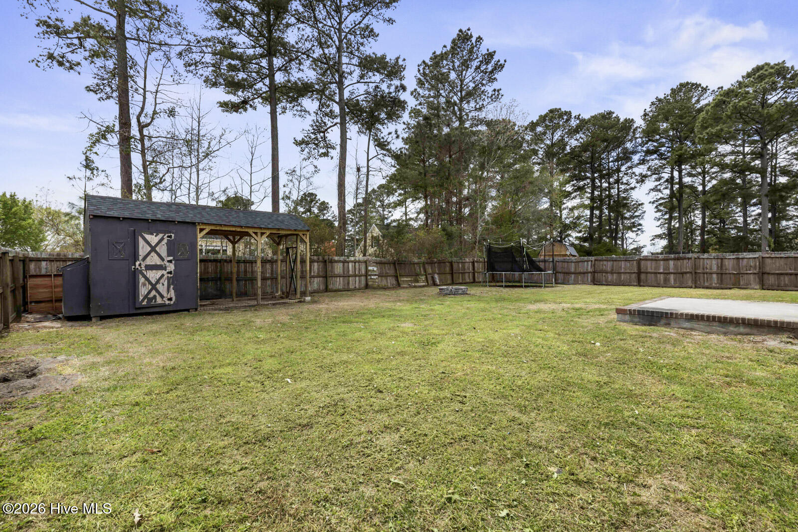 100564555 | Photo 25