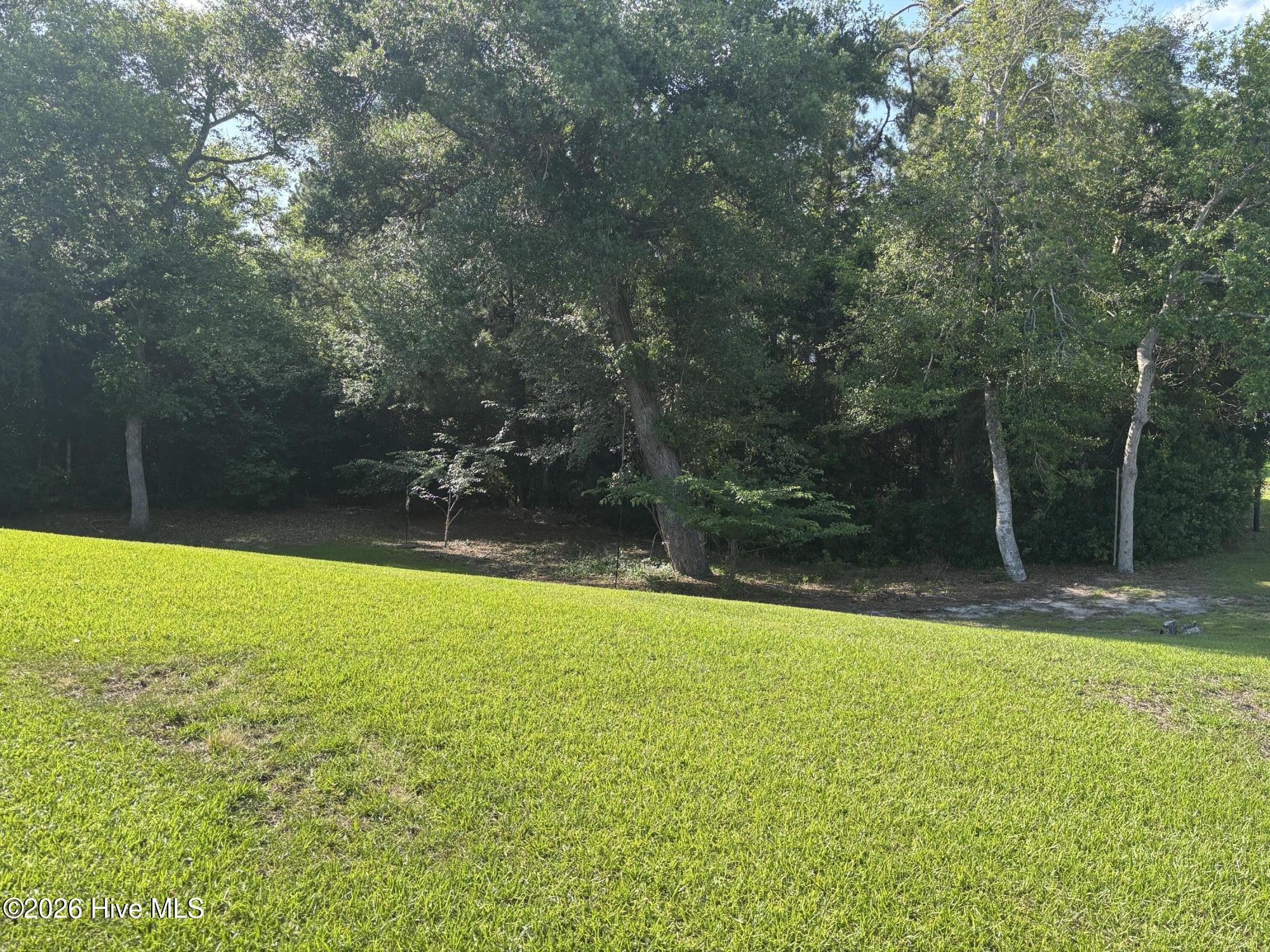 100560491 | Photo 17