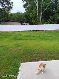 100533340 | Photo 20