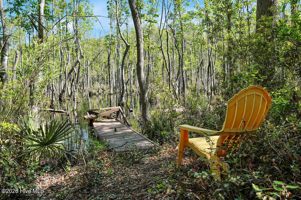 100569644 | Photo 35