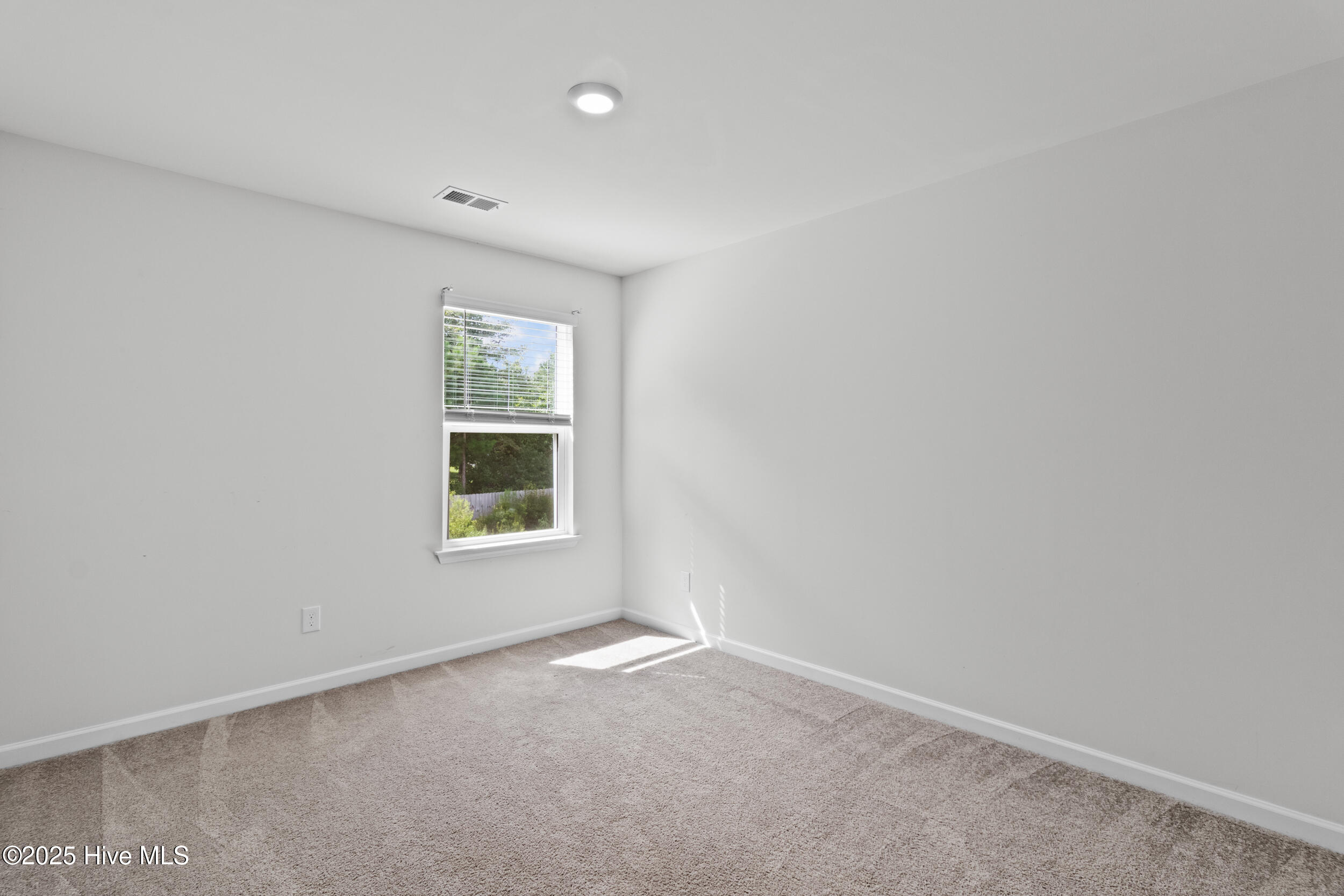 100519955 | Photo 20