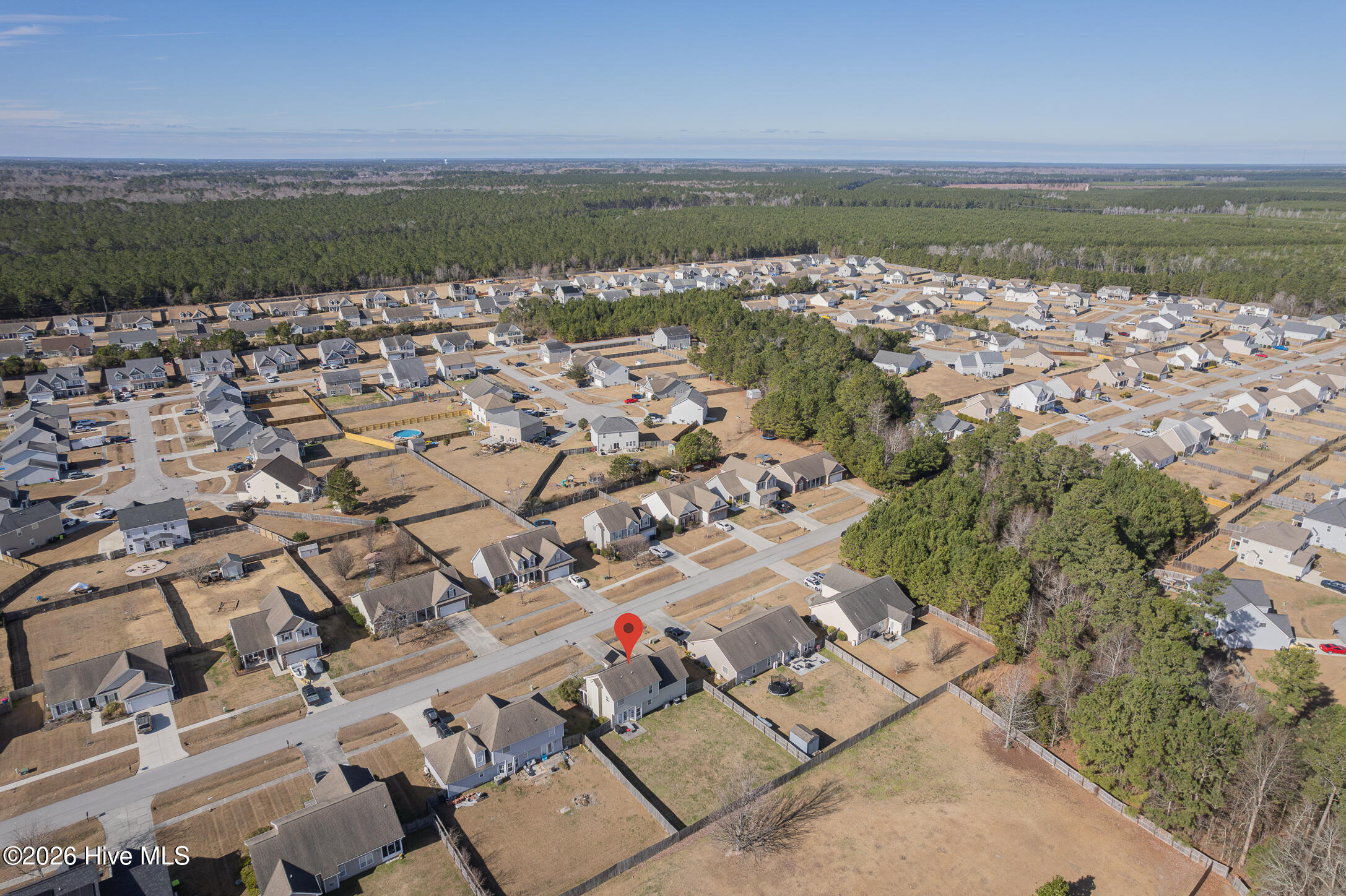 100554733 | Photo 63