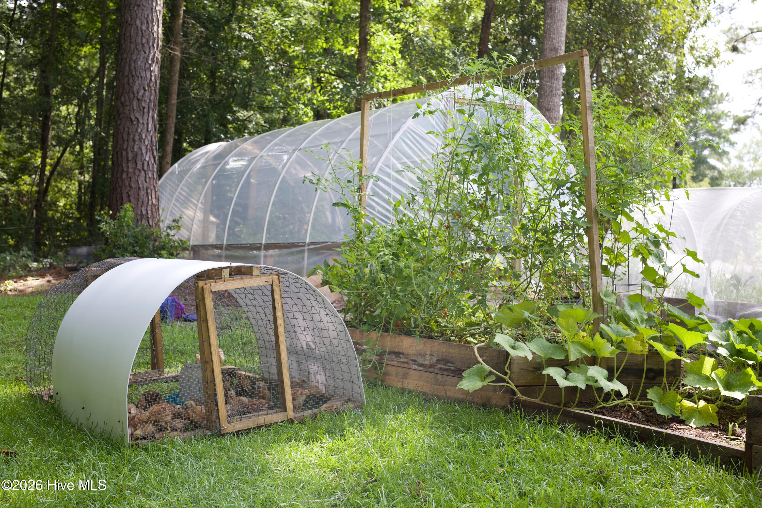 100558735 | Photo 69