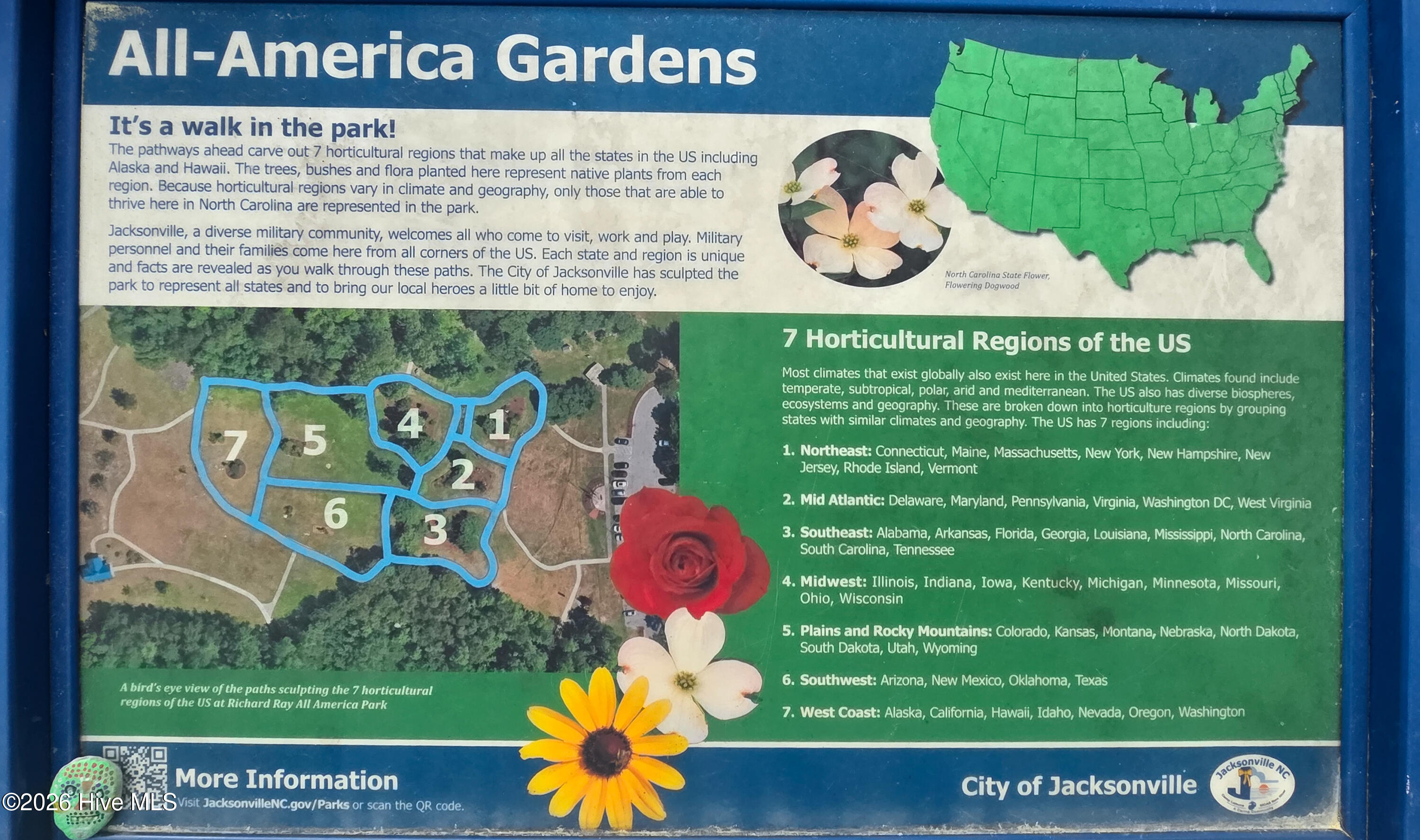 100562387 | Photo 61