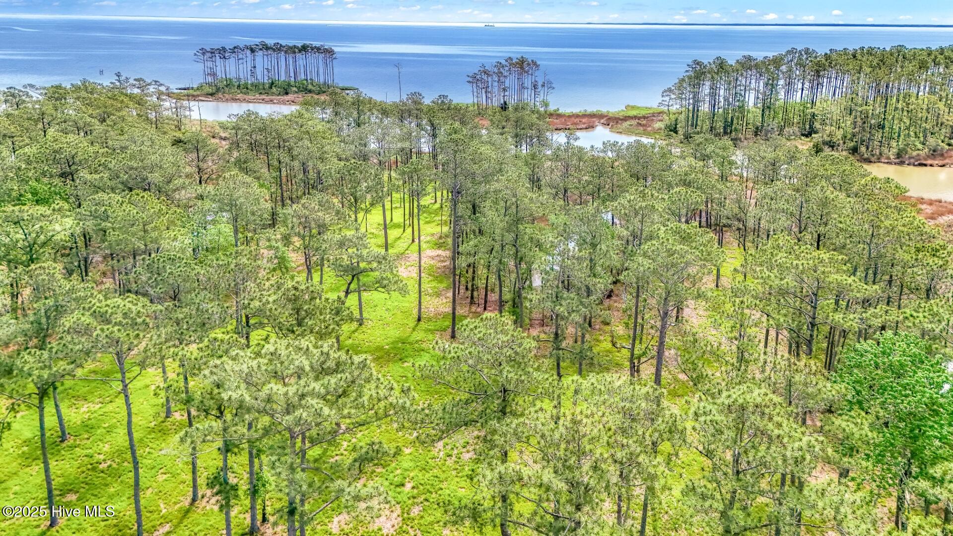 203 River Watch Road, Oriental, NC, 28571