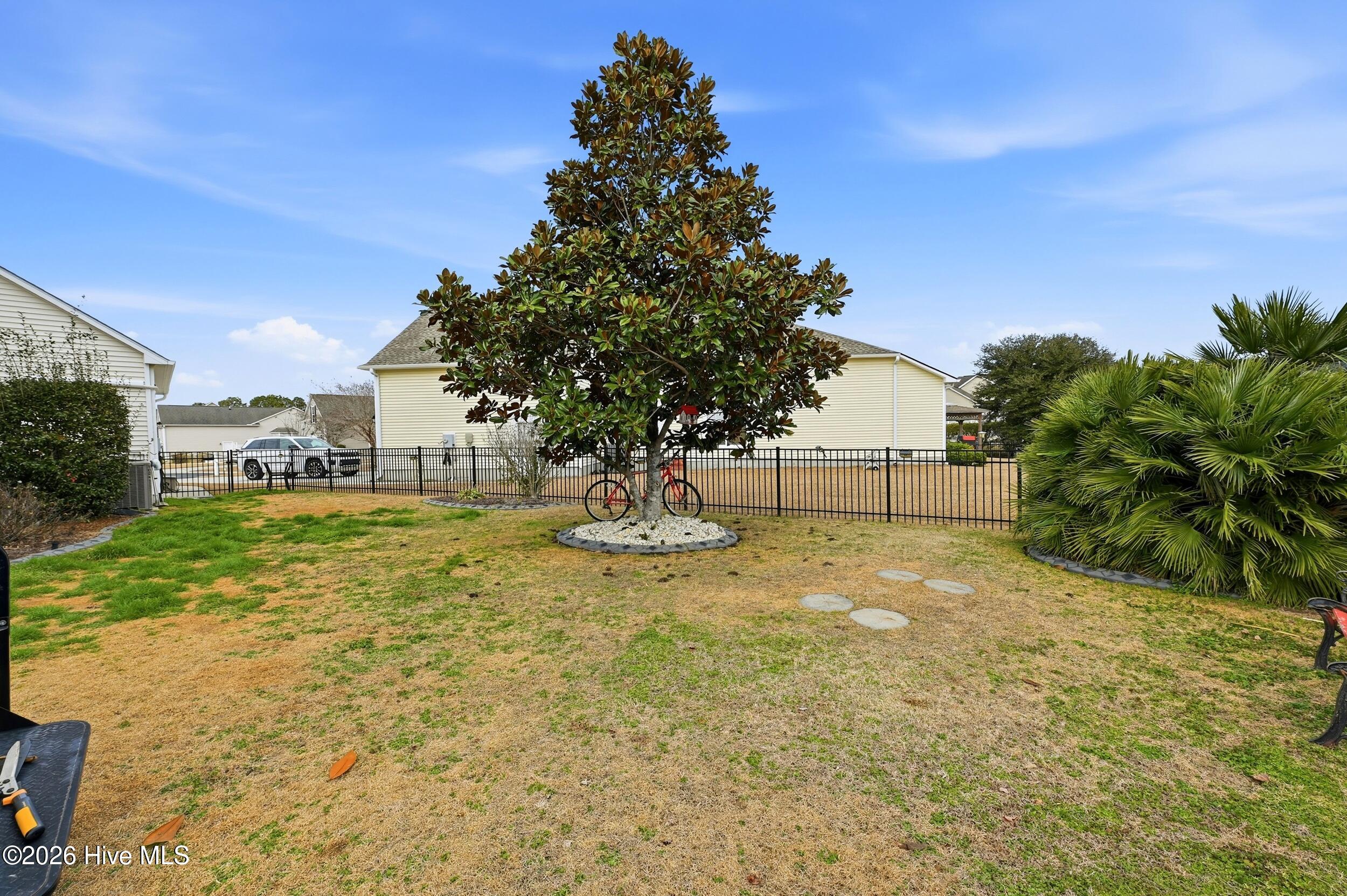 100553802 | Photo 52