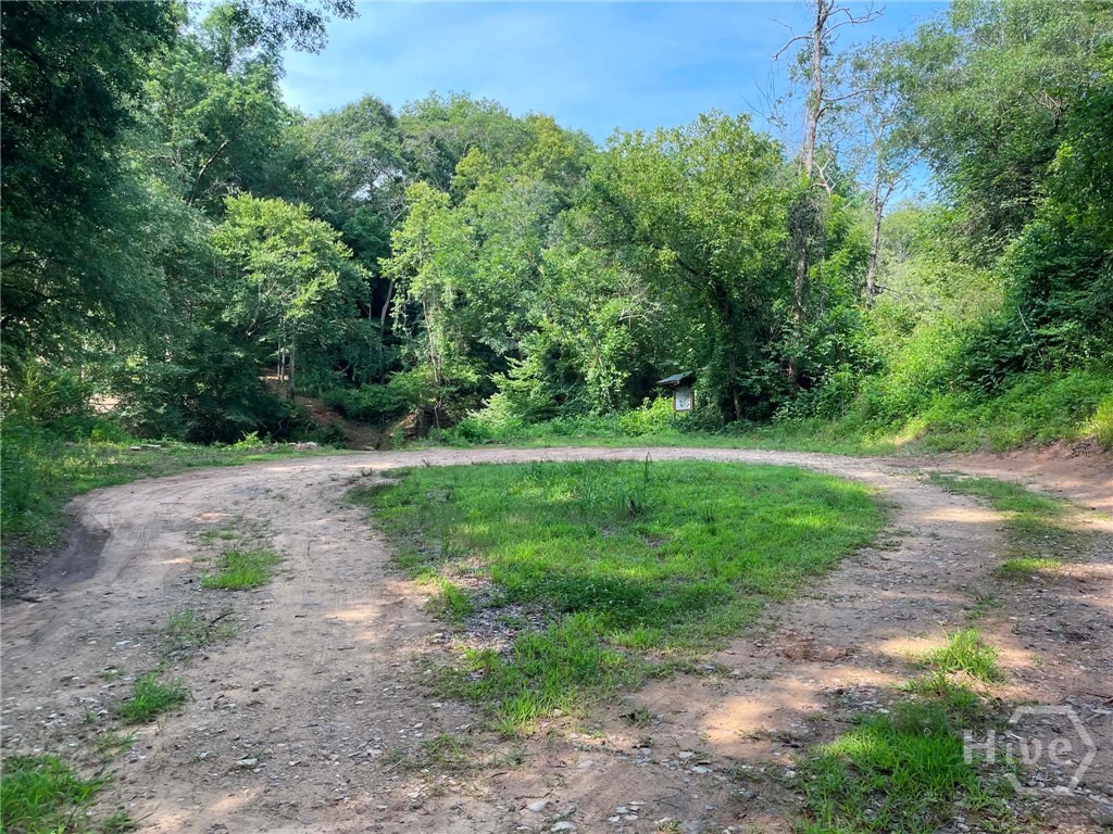 Photo 4 of Land for sale at Tract 1 Highway 29, Royston, GA 30662 | MLS# CL364730 | Listing updated on 2026-09-19