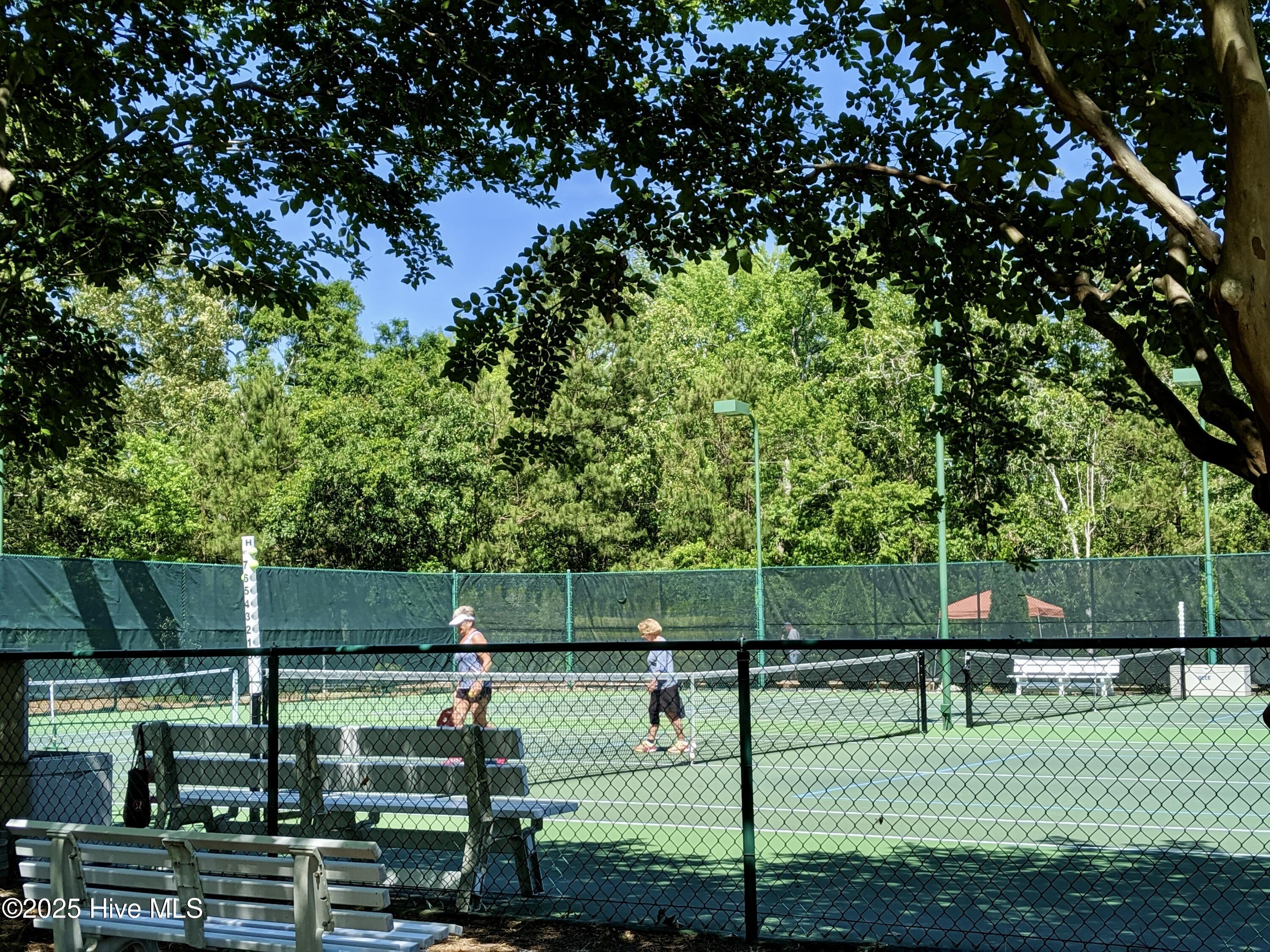 100530246 | Photo 41