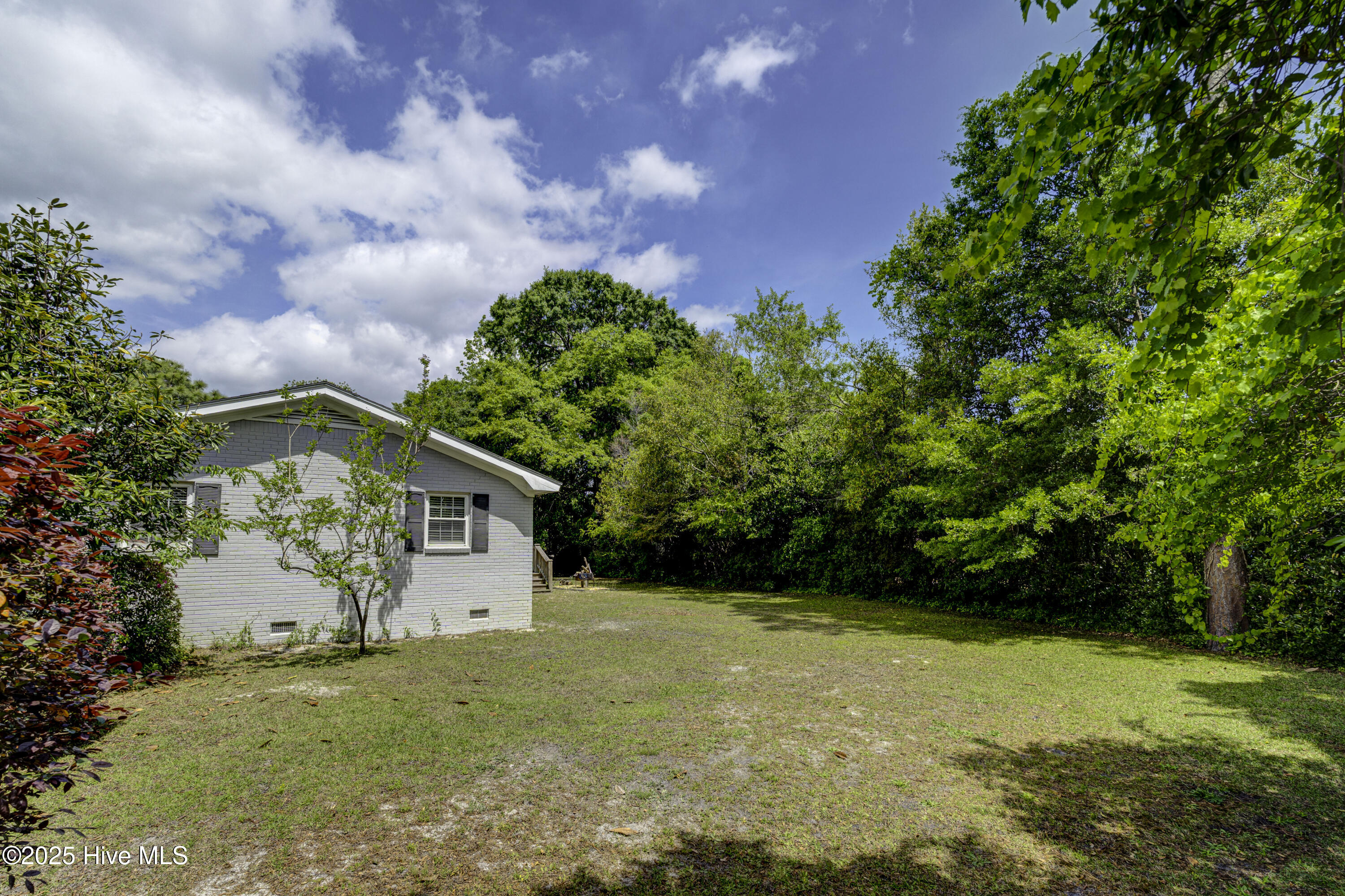 100525965 | Photo 42