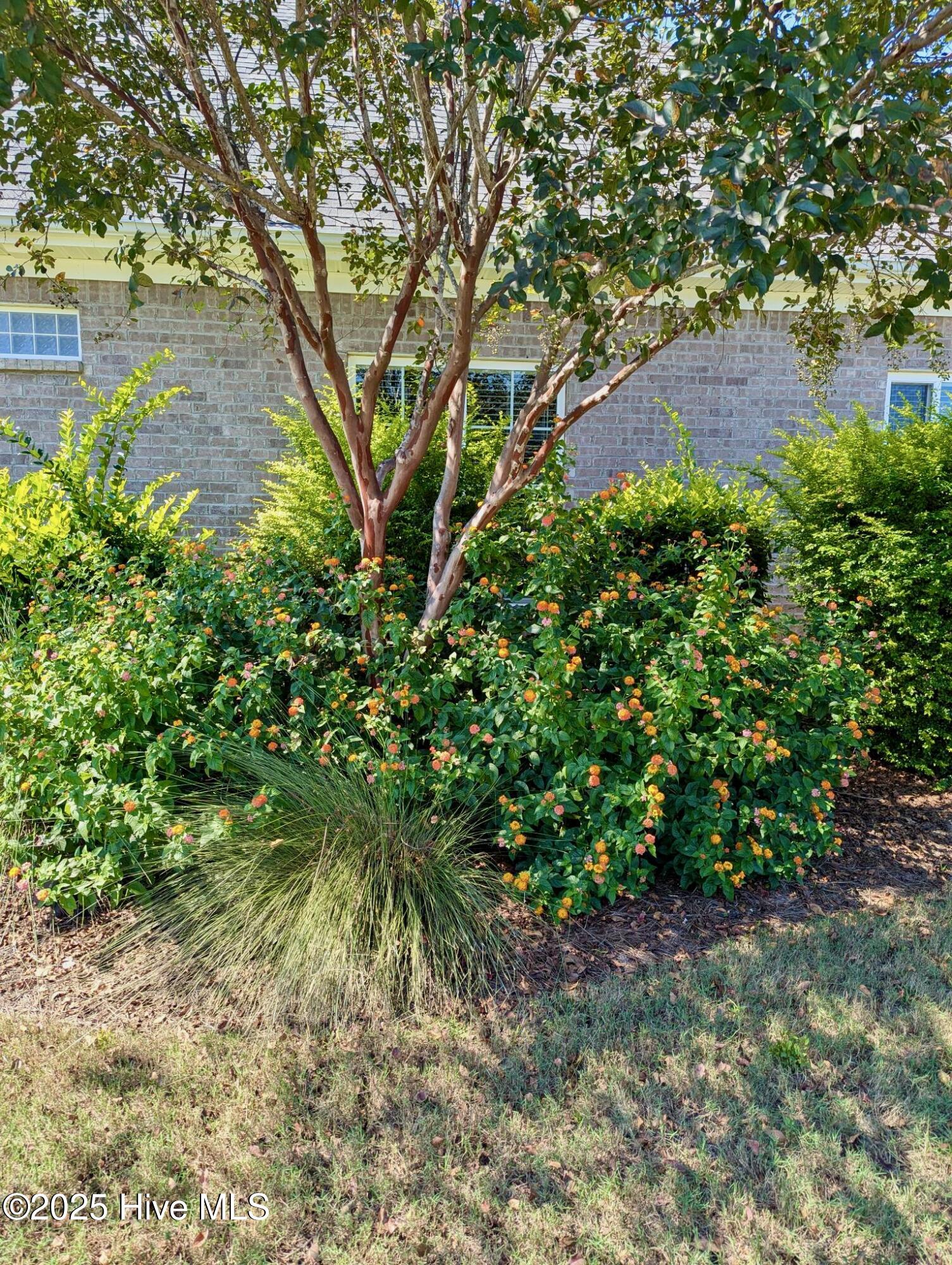 100542604 | Photo 52