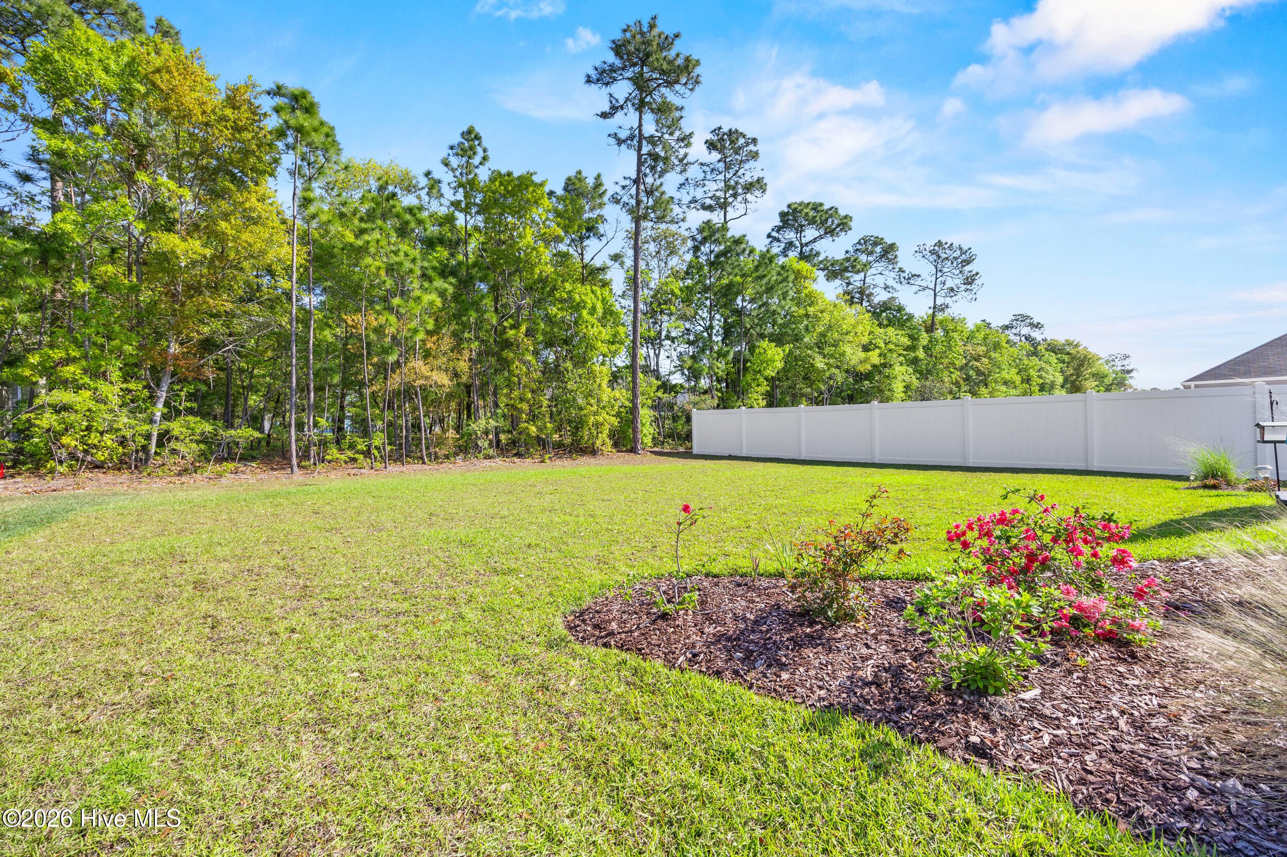 100567643 | Photo 41