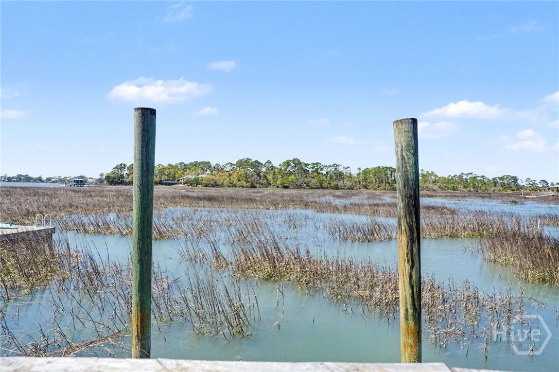 1312 Venetian Drive, Tybee Island, GA 31328 Listing Photo  48