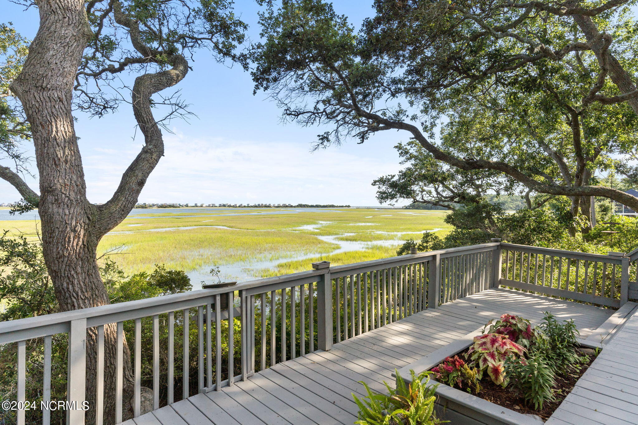 100555679 | Photo 58