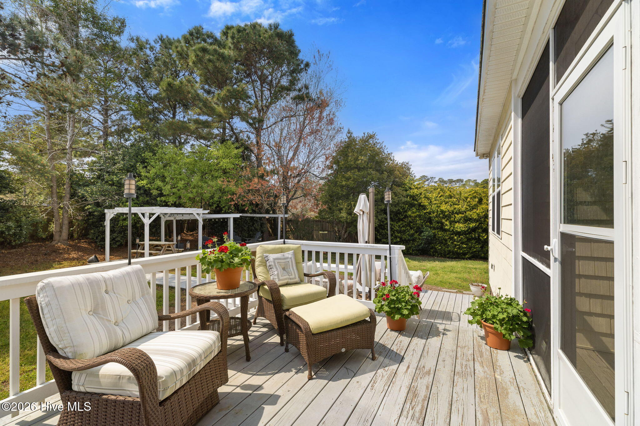 100561515 | Photo 98