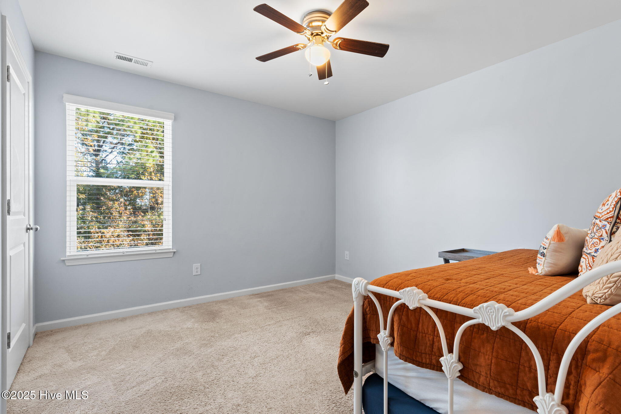 100538631 | Photo 24