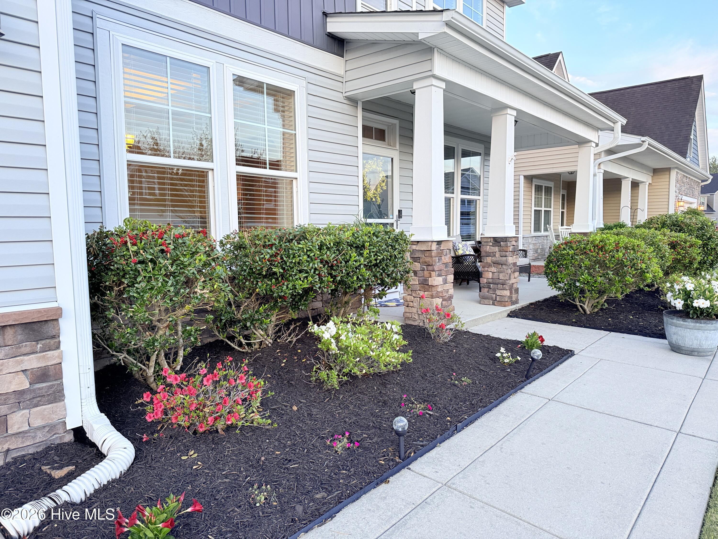 100565908 | Photo 34