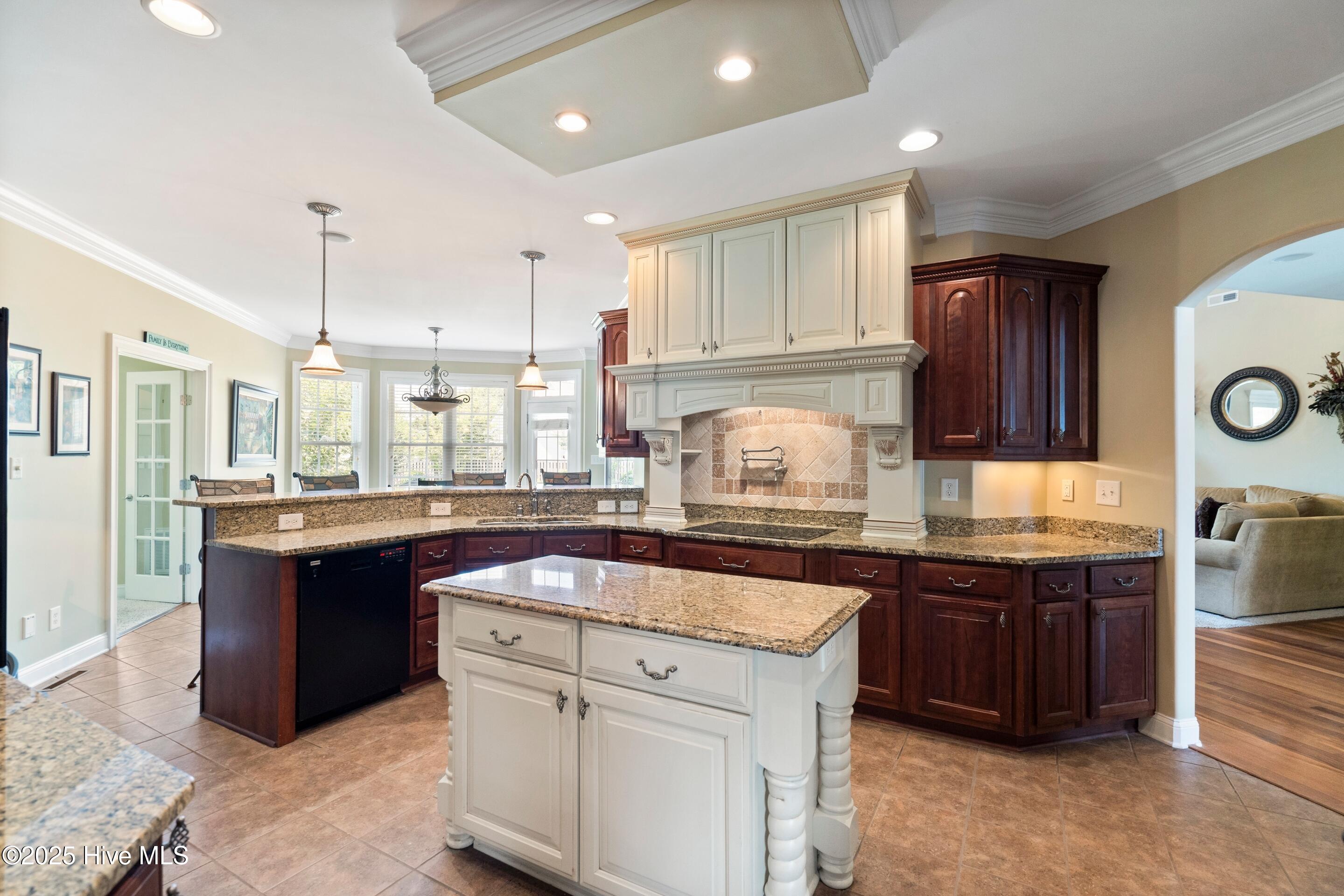 100518438 | Photo 21