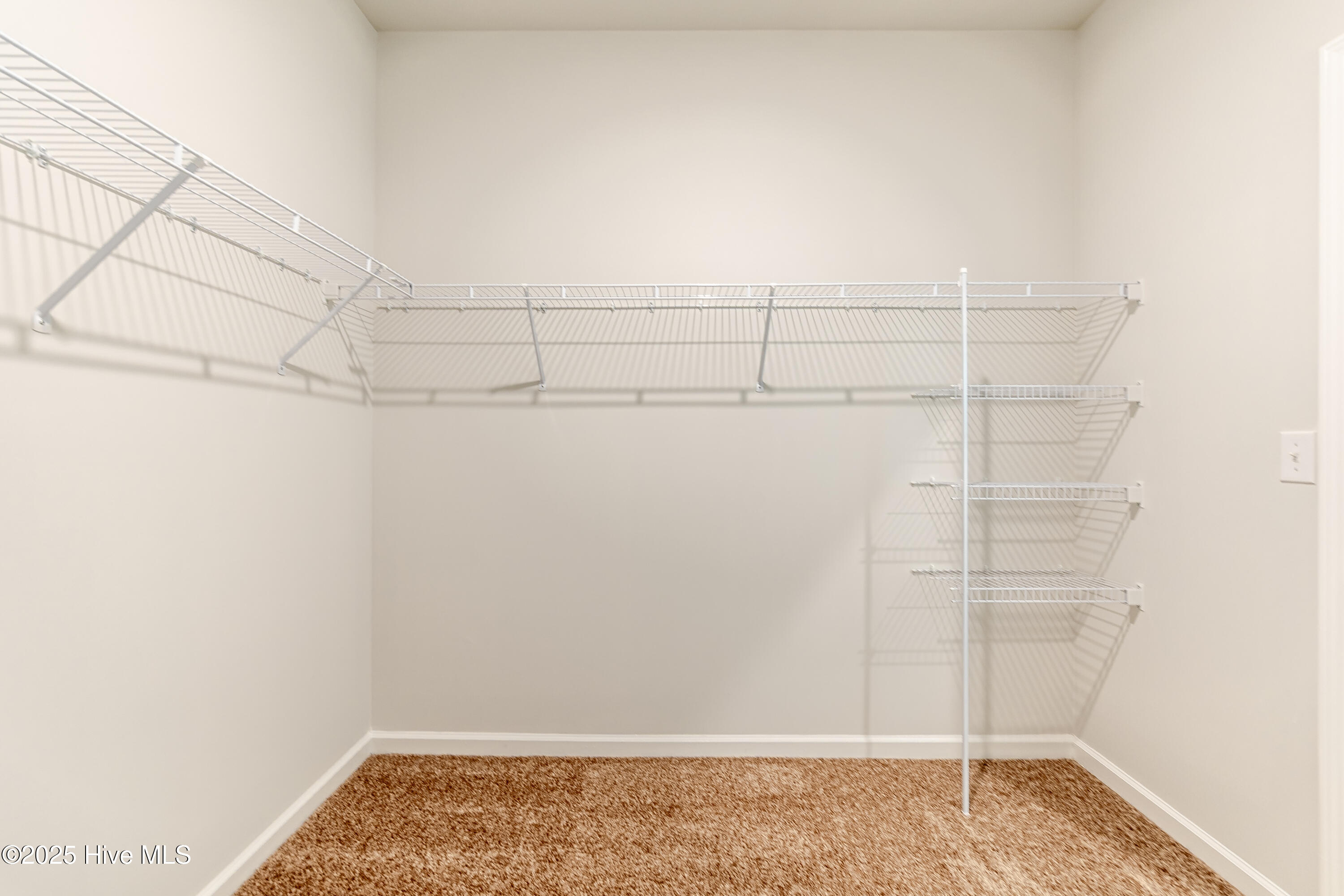 100526053 | Photo 32