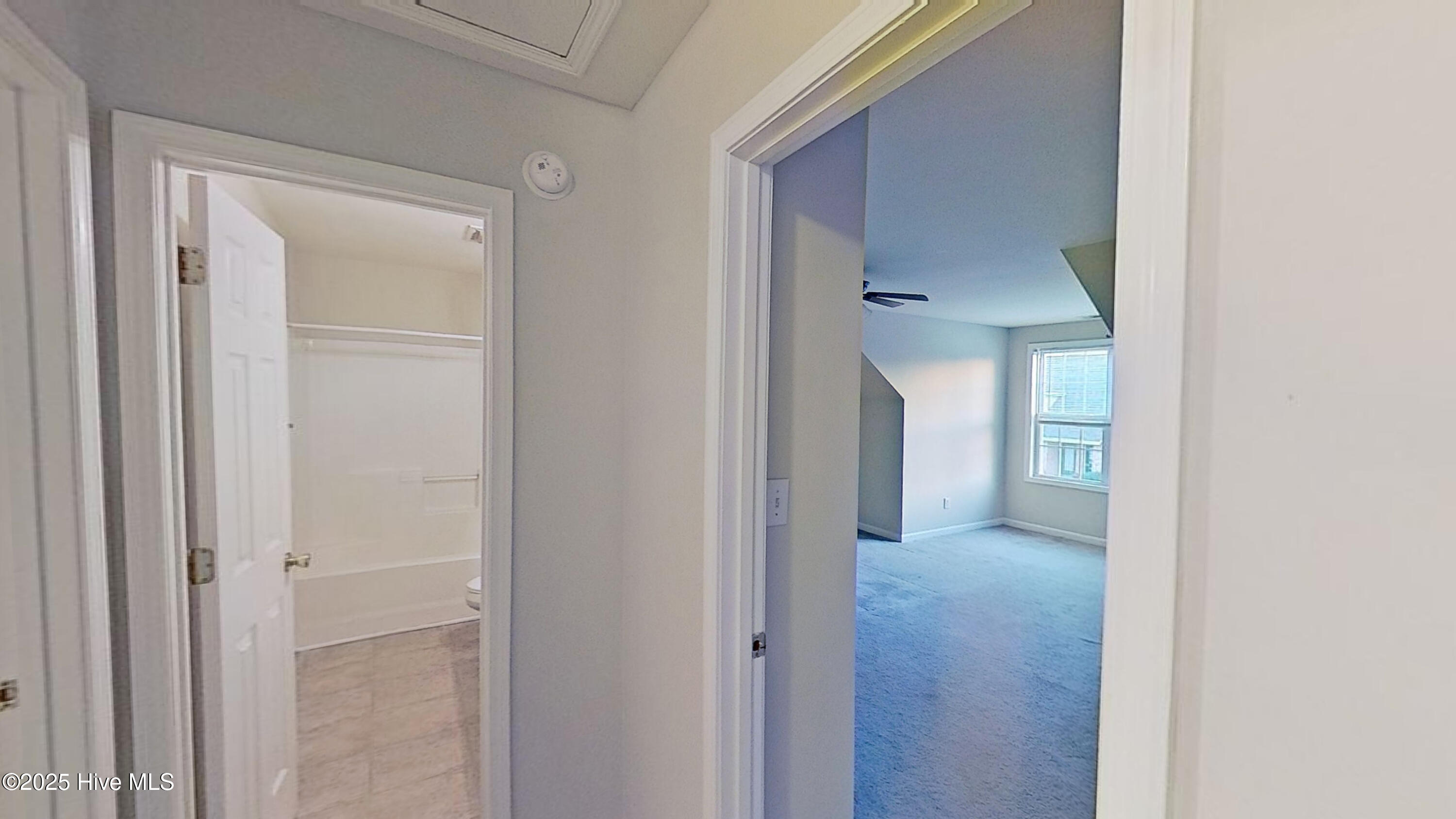 100543632 | Photo 17