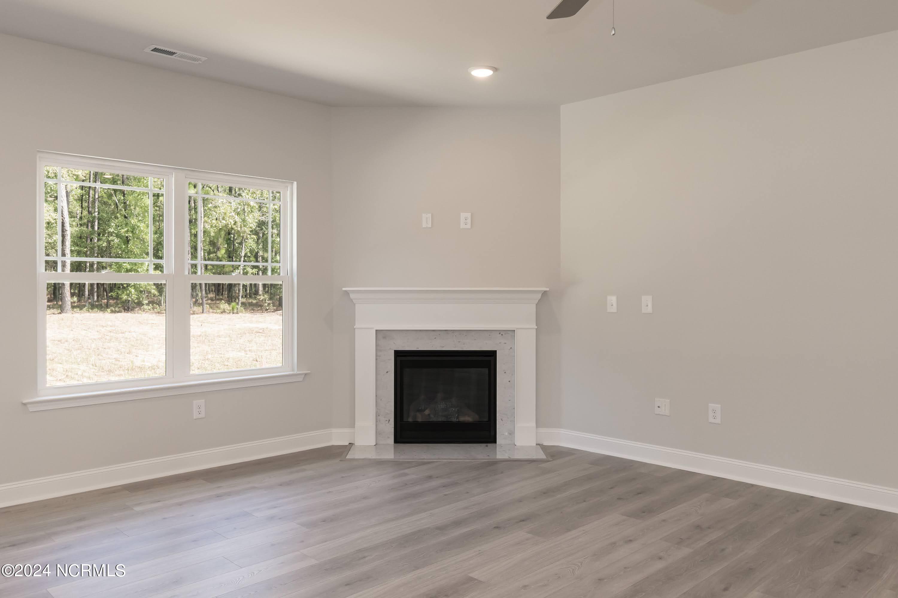 256 Nellie Lane, Swansboro, NC 28584 – photo 7: Fireplace 01