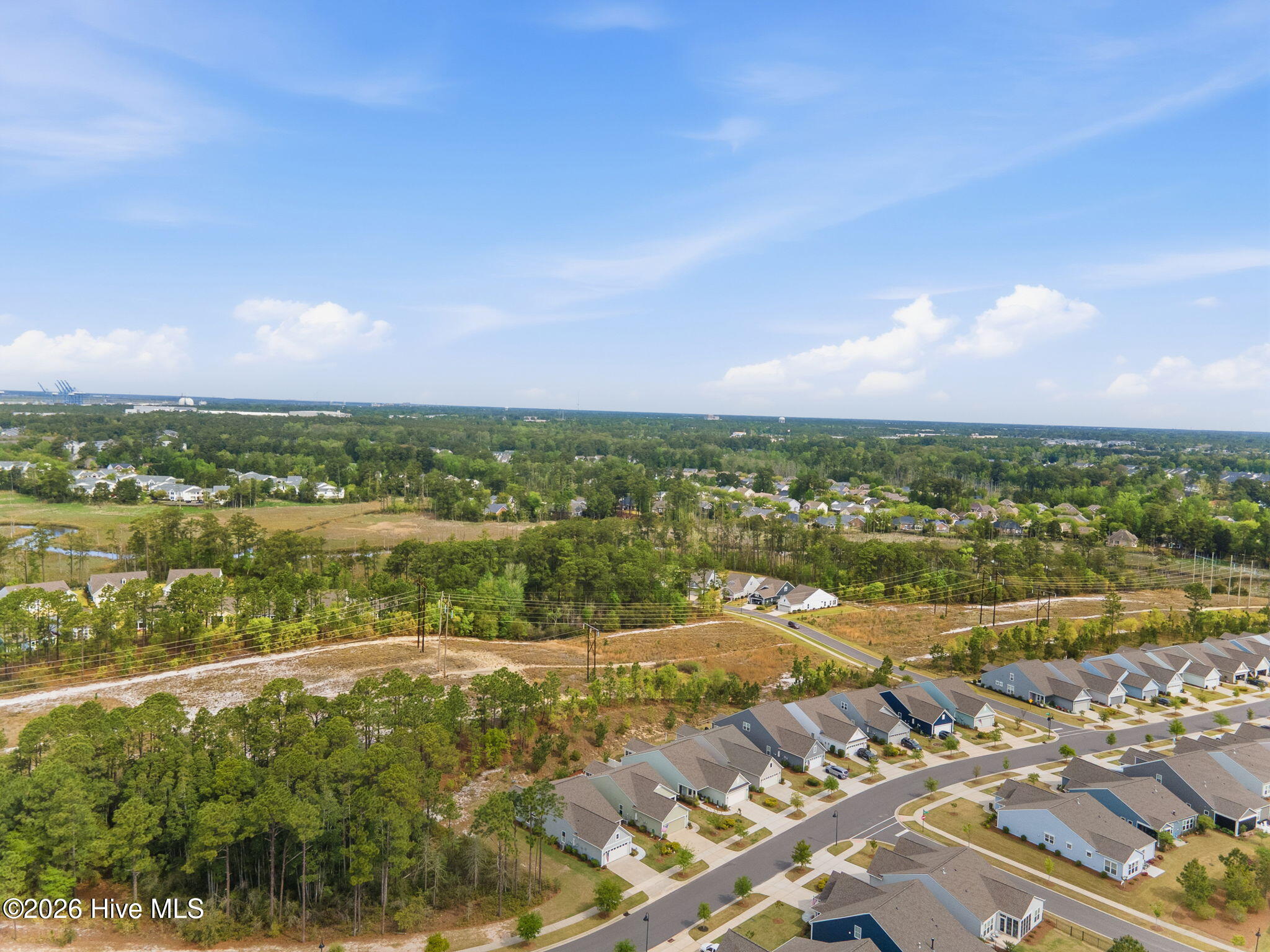 100565858 | Photo 51