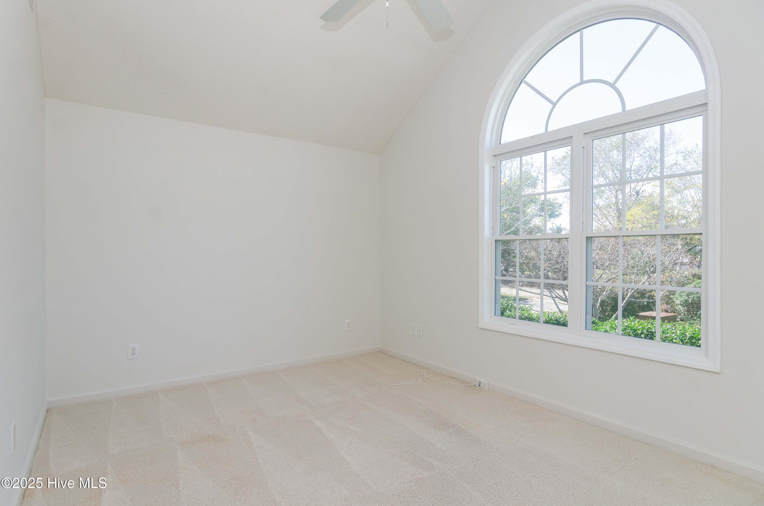 100563039 | Photo 19