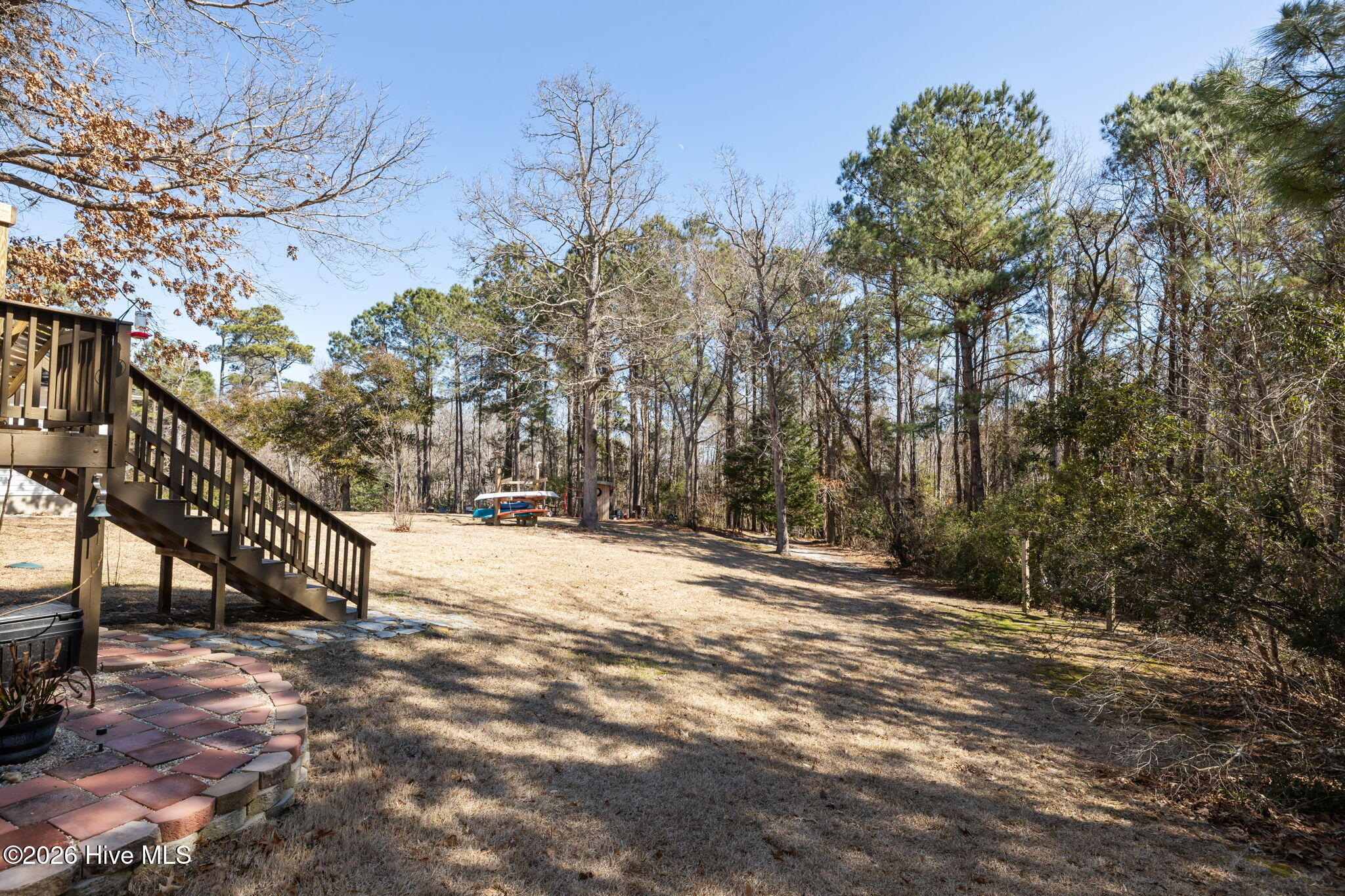 100558206 | Photo 35