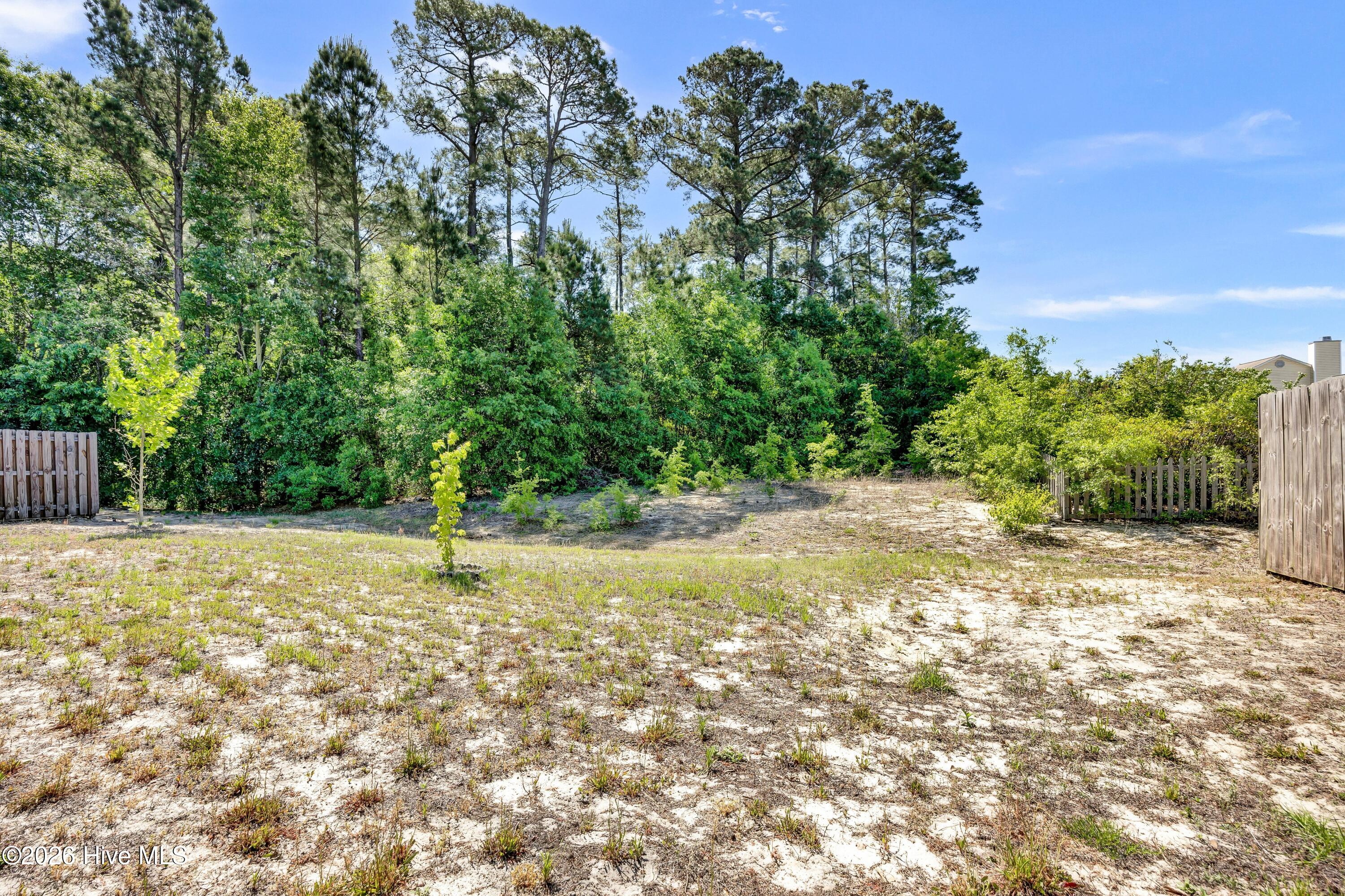 100569436 | Photo 28