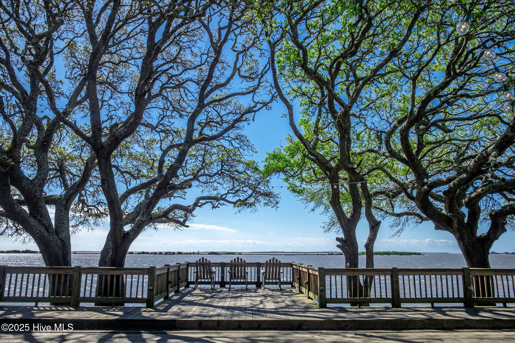 100532717 | Photo 67