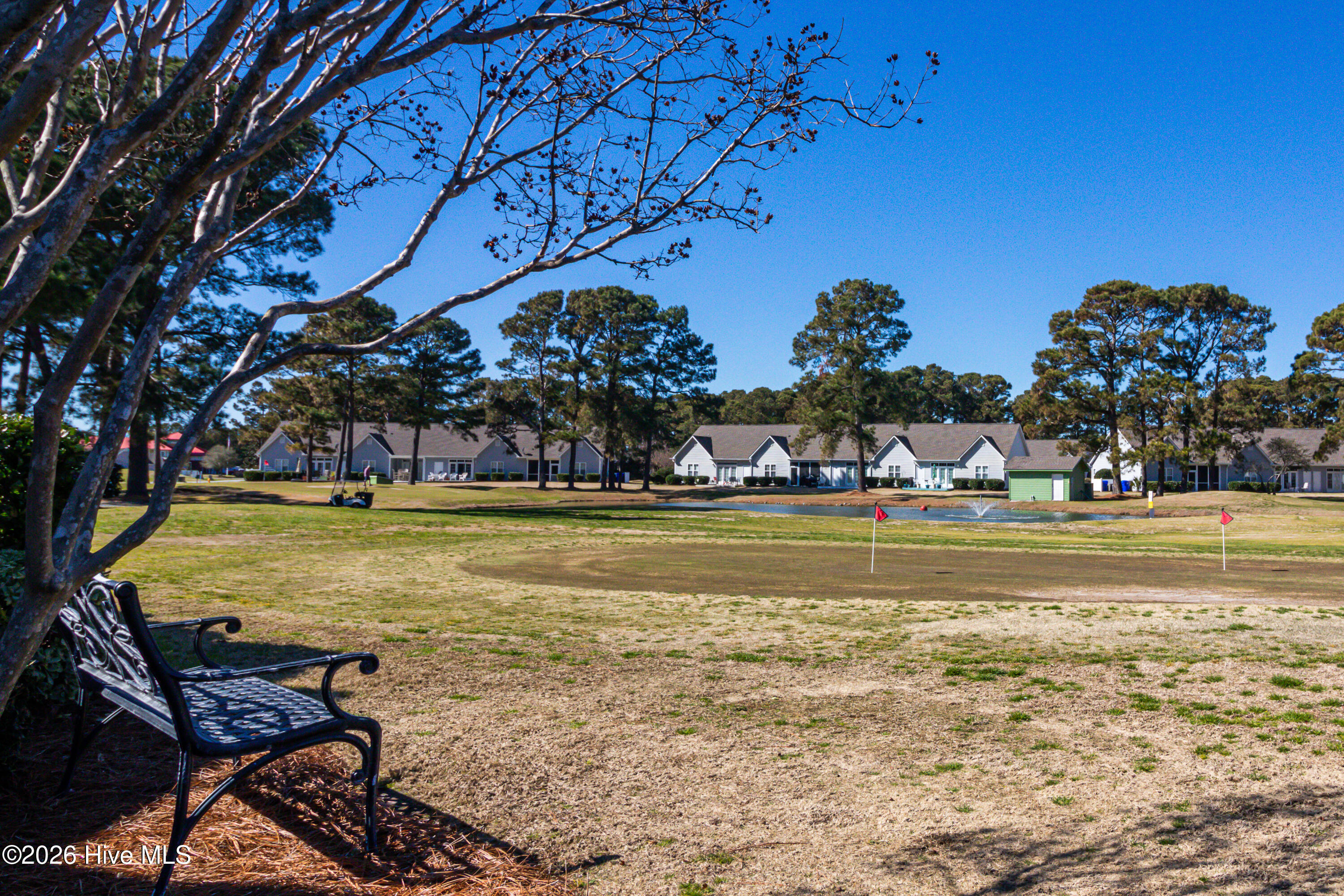 100558016 | Photo 53