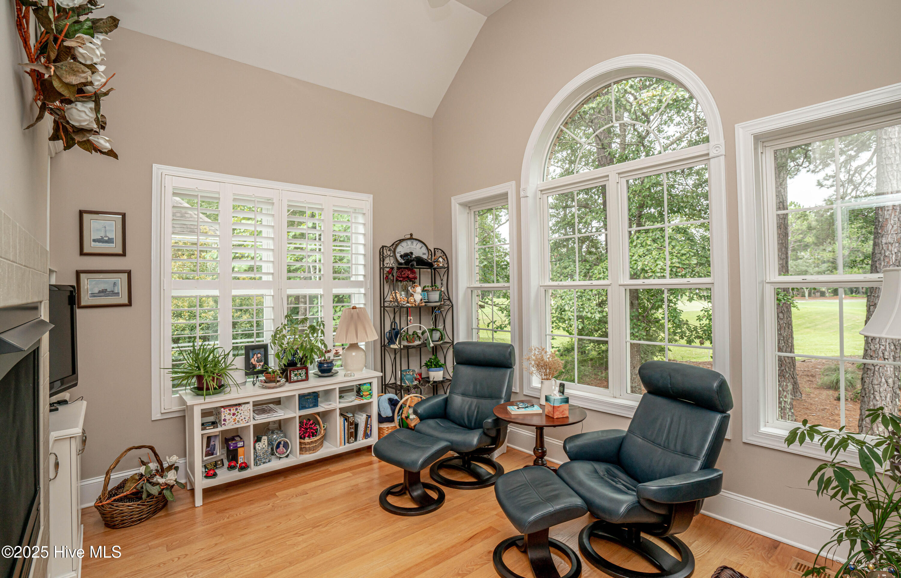 100549675 | Photo 24