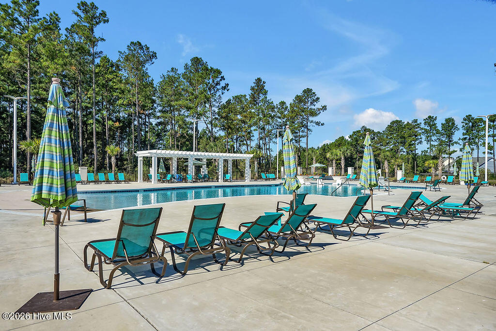 100565235 | Photo 160