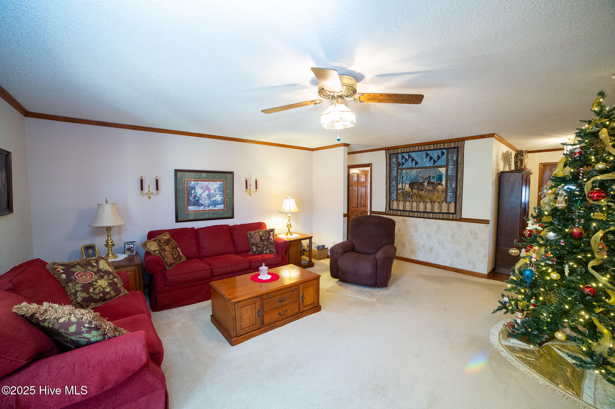 100545469 | Photo 16